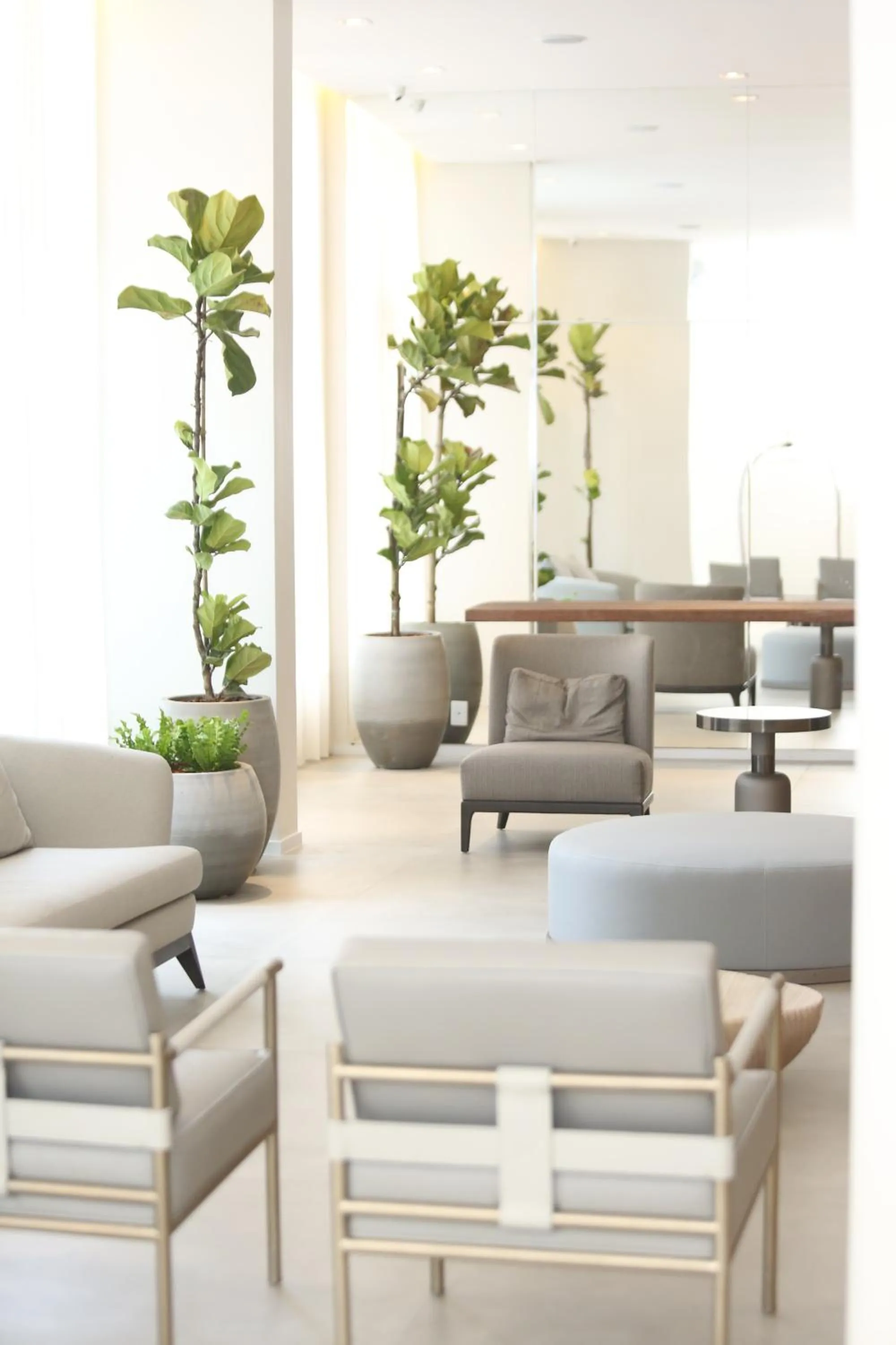 Lobby or reception in Hotel Plaza Camboriú