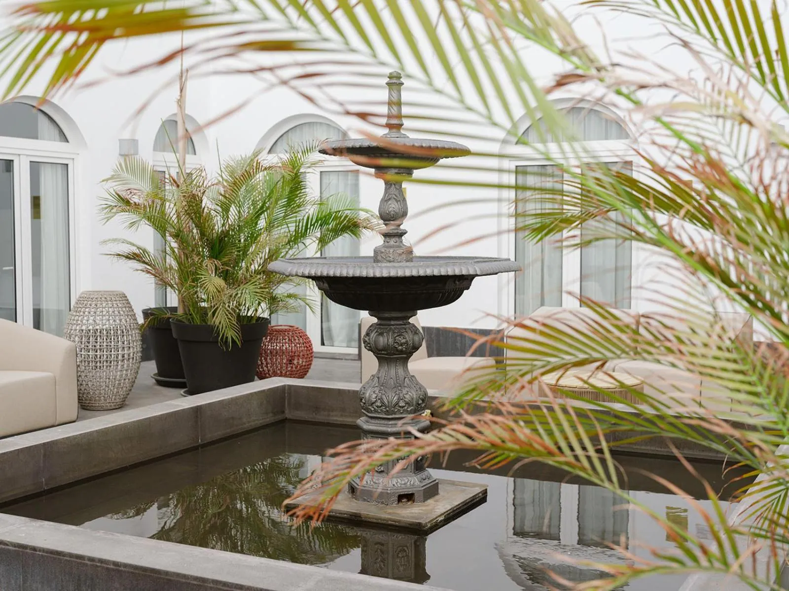 Garden in Hotel Taburiente S.C.Tenerife