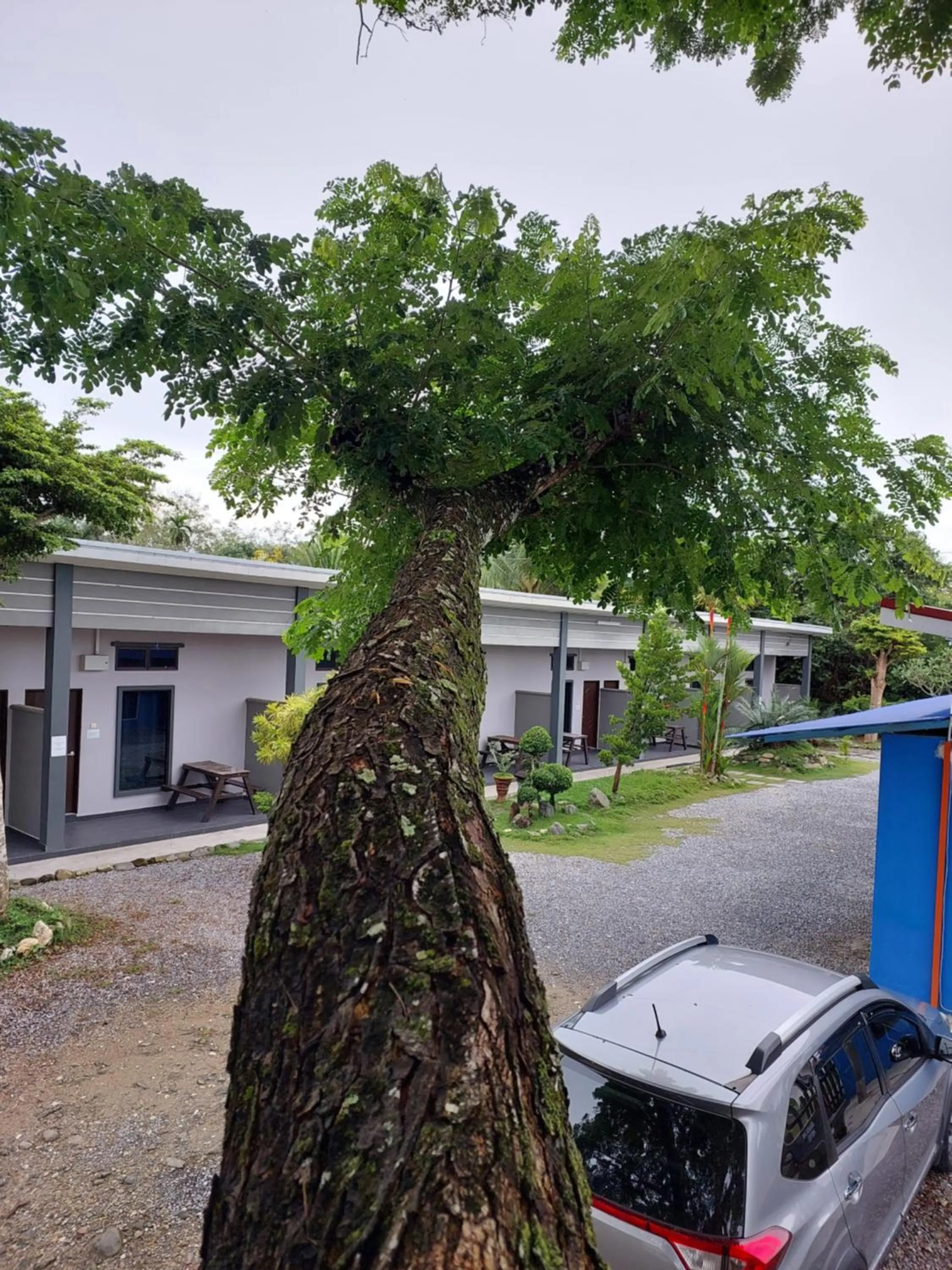 Property building in Changlun Chalet