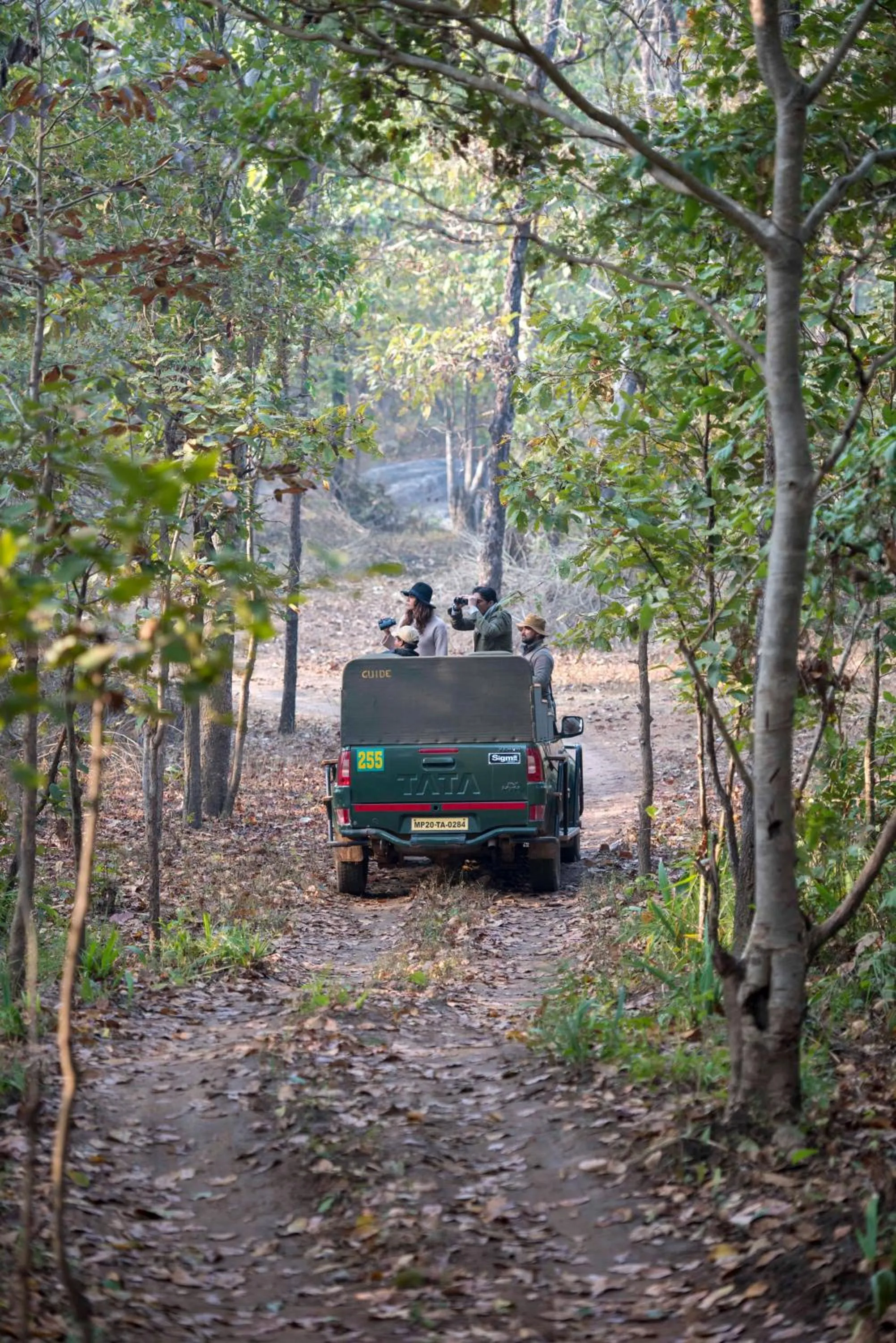 Natural landscape in Baghvan Pench National Park - A Taj Safari Lodge