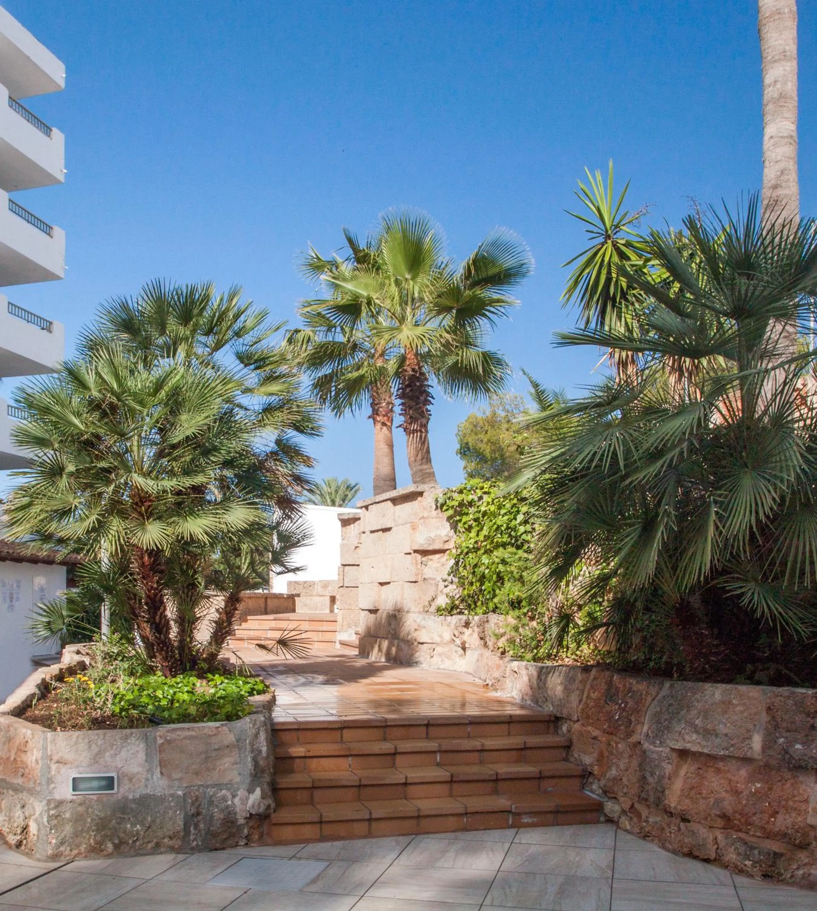 Day in Globales Costa de la Calma