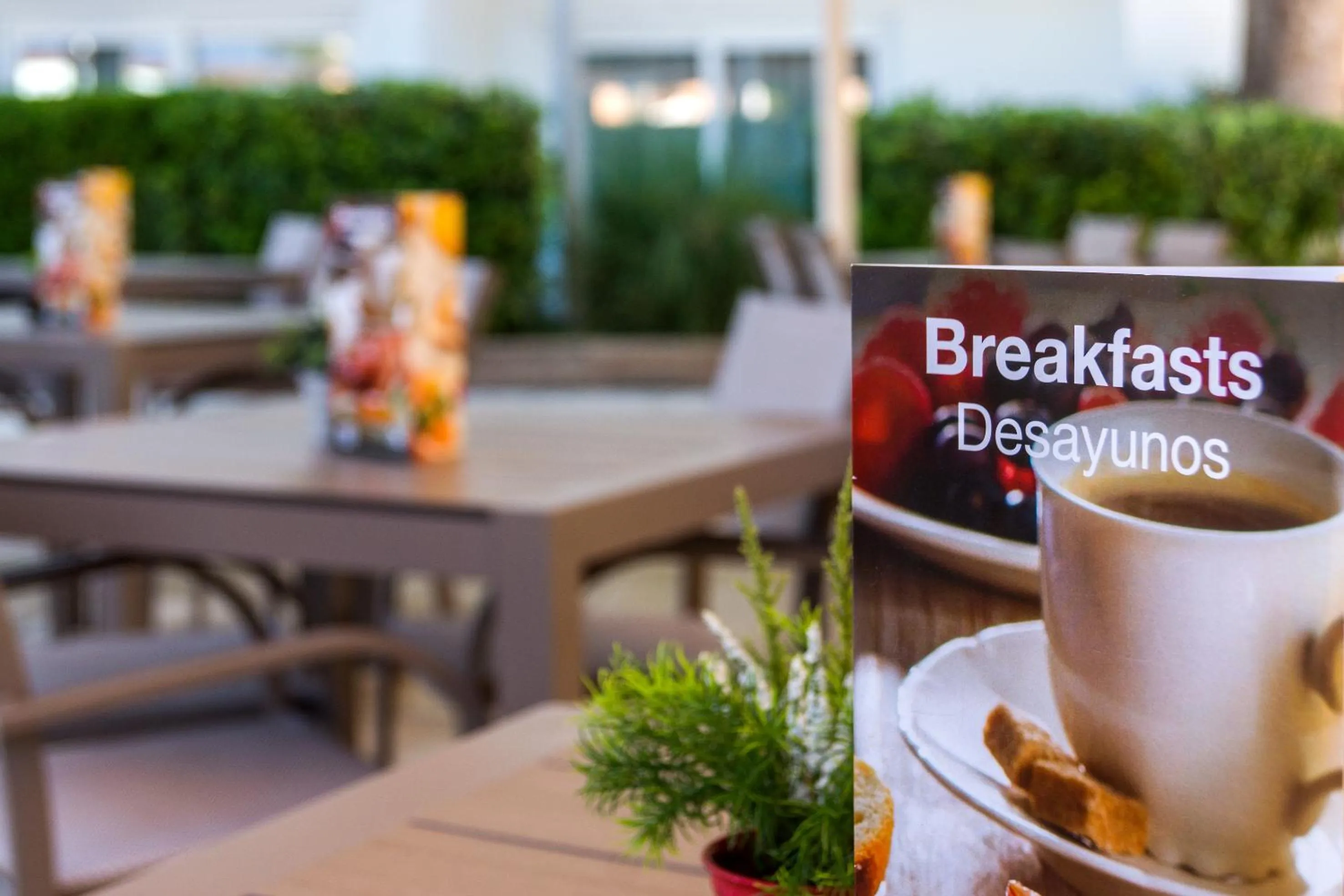 Restaurant/places to eat in Globales Costa de la Calma