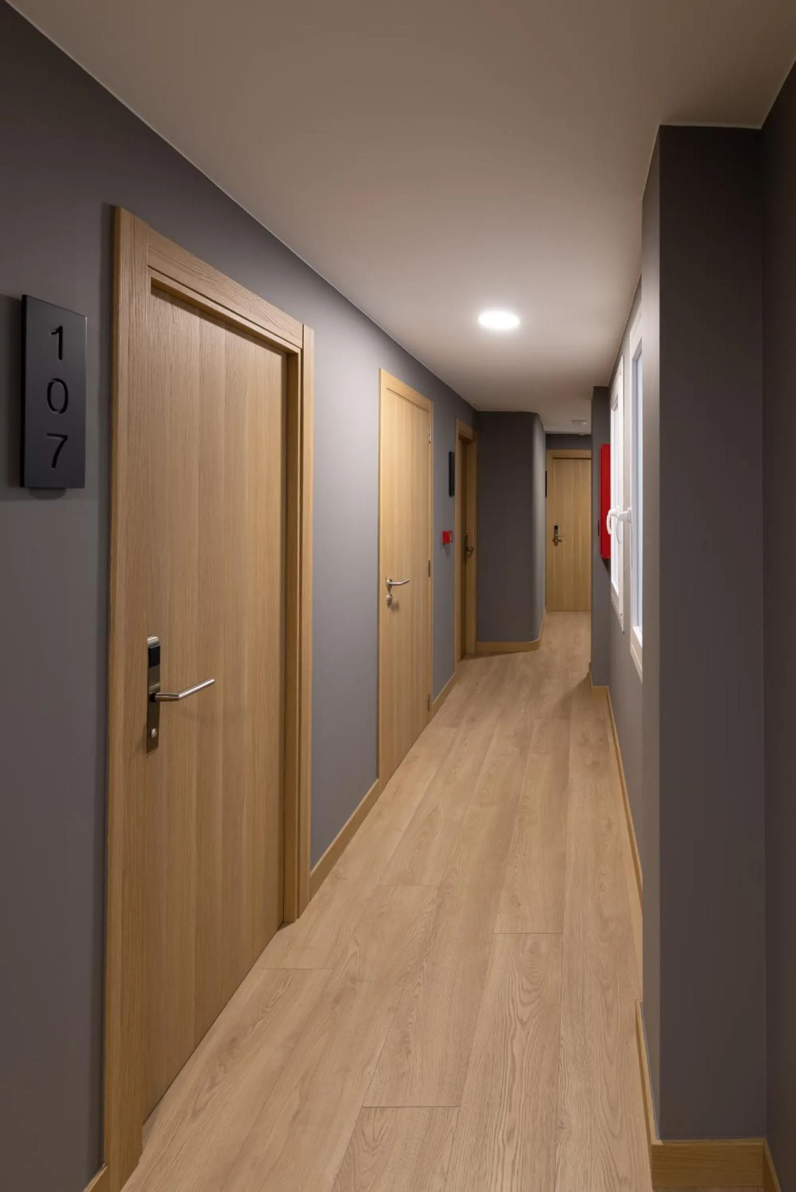 Area and facilities in Hotel Europa