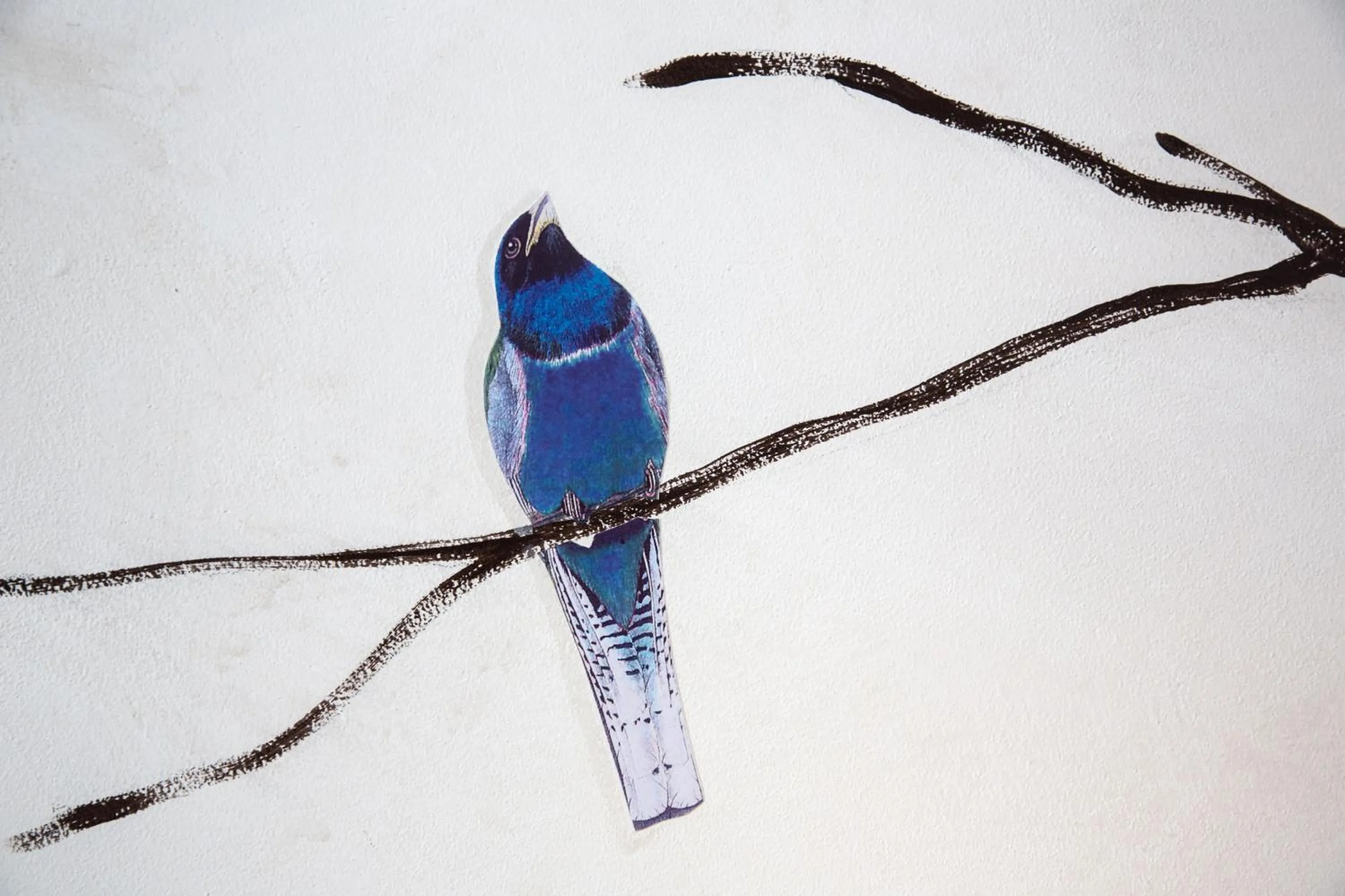 Decorative detail in Palazzo Conti Camere & Suites