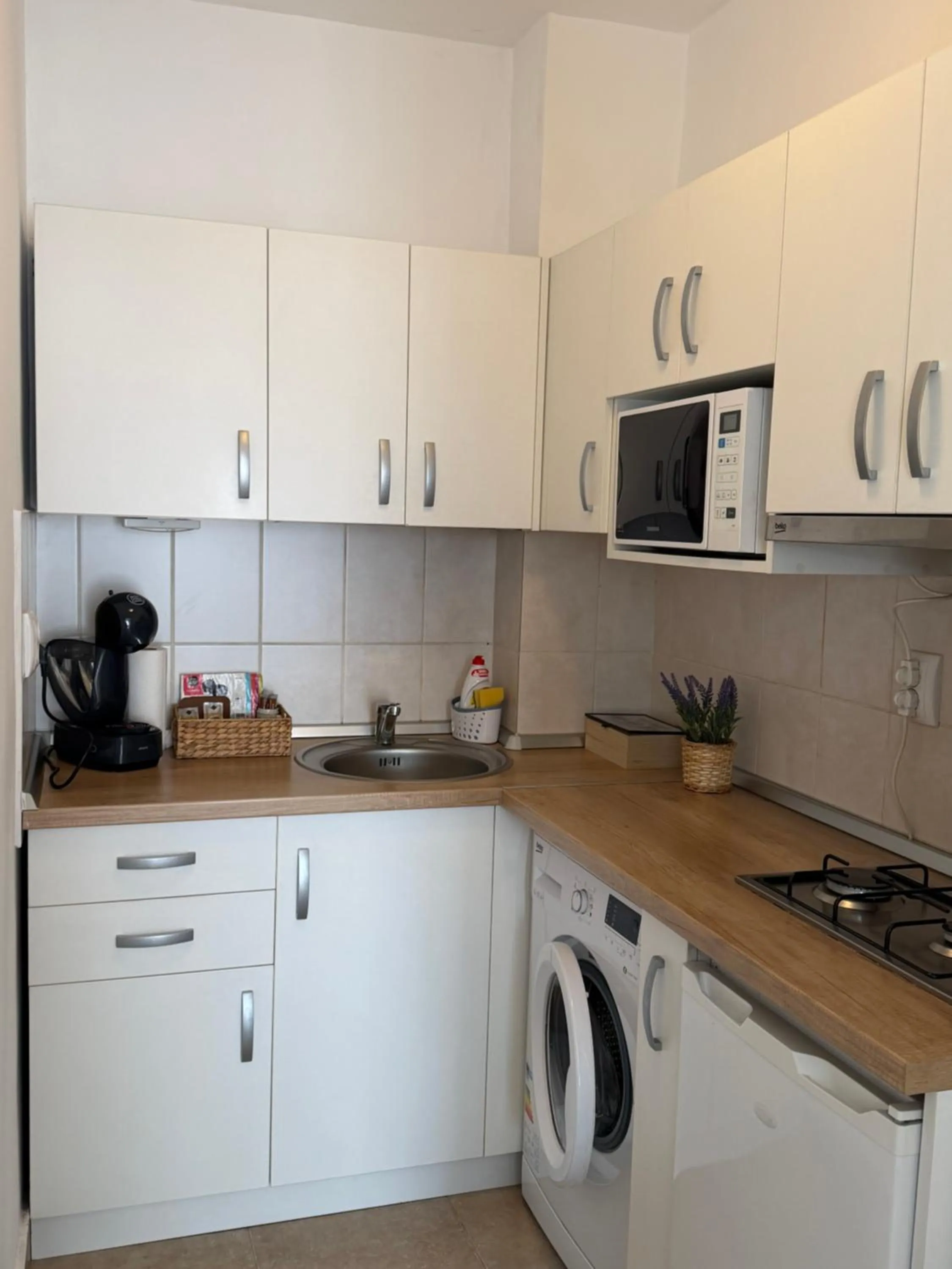 City Apartment Dorobantilor