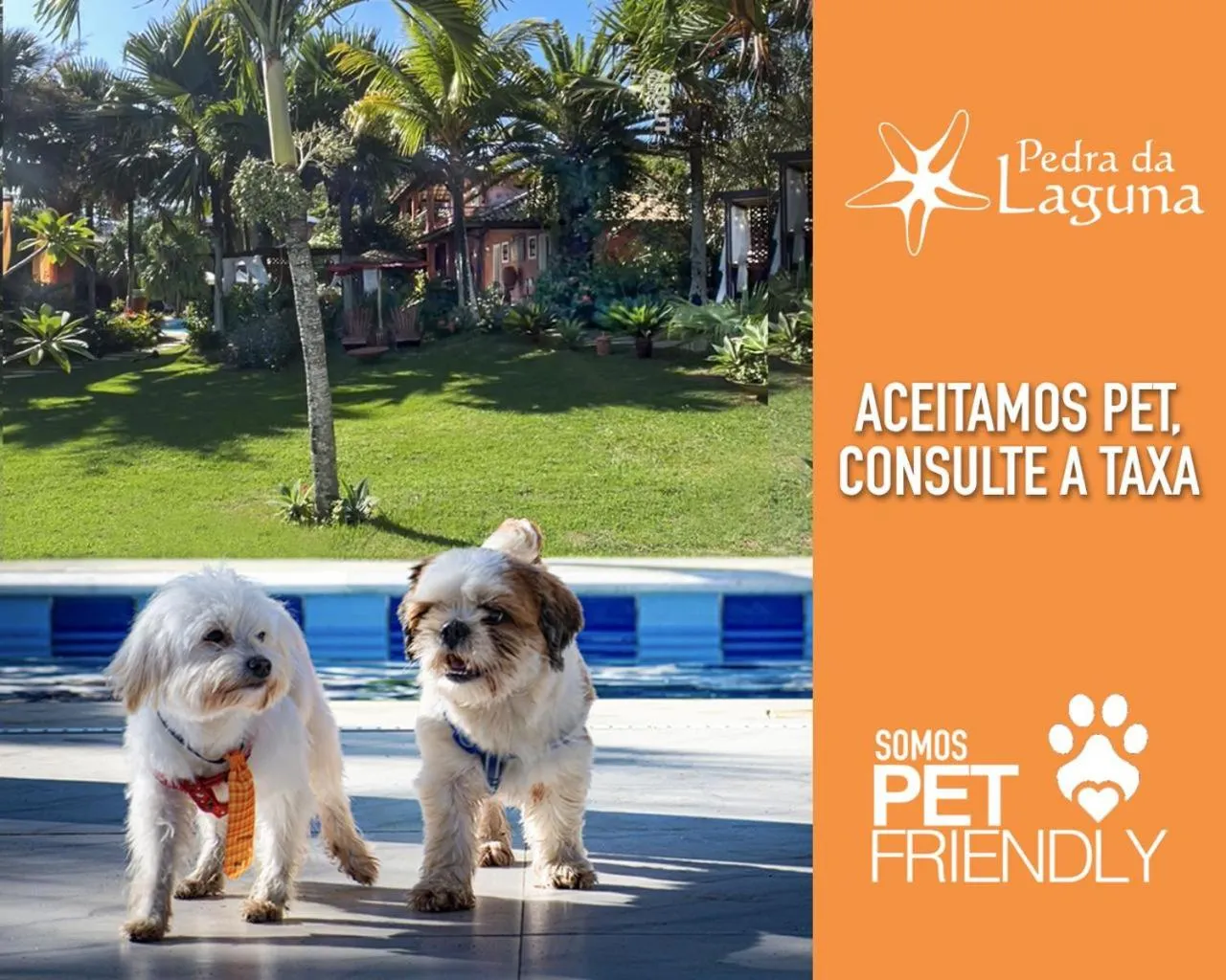 Pets in Pedra da Laguna Boutique Hotel SPA