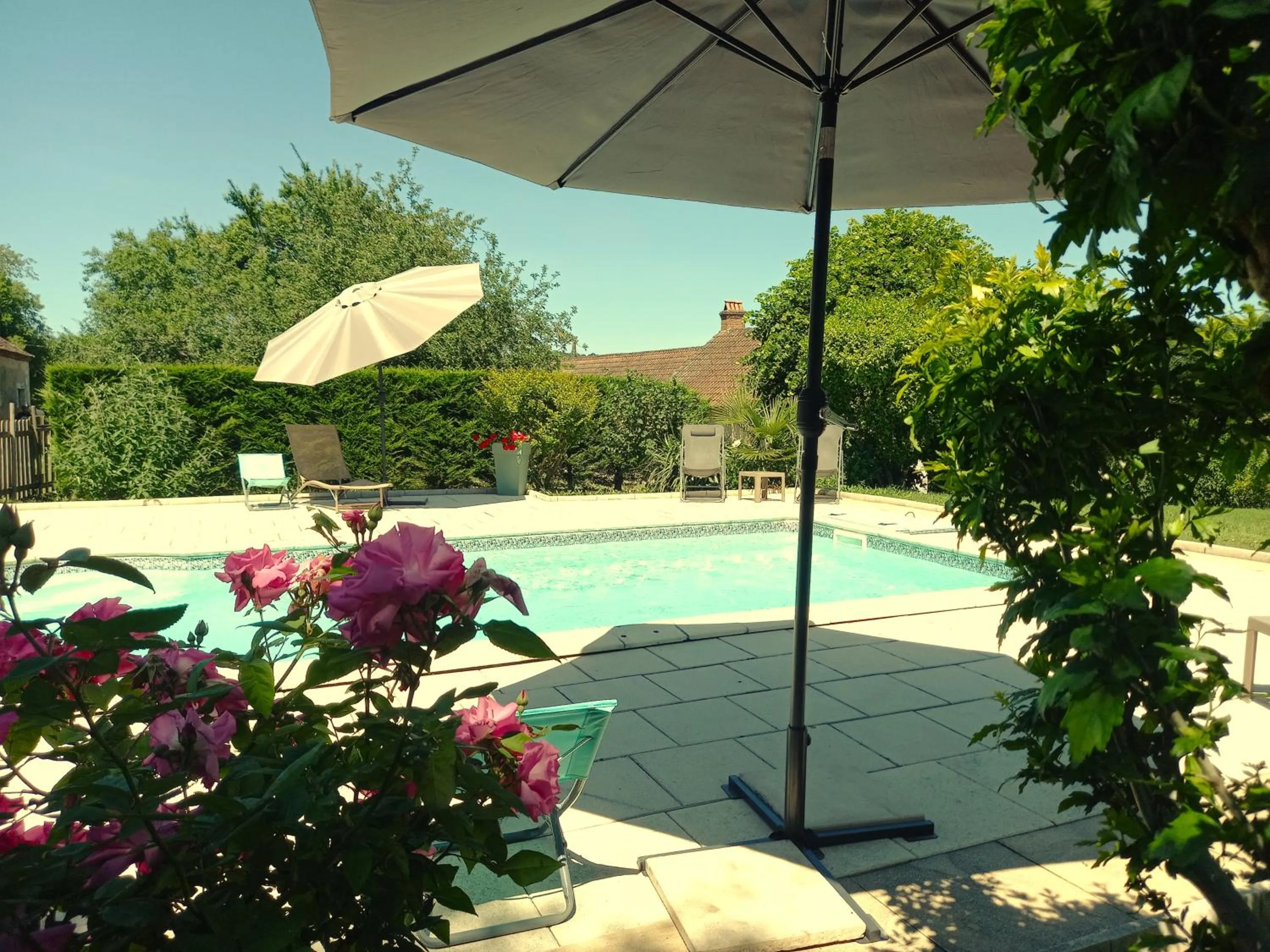 Swimming pool in Au pays de Jacquou : Chambre d’hôtes et table d’hôtes