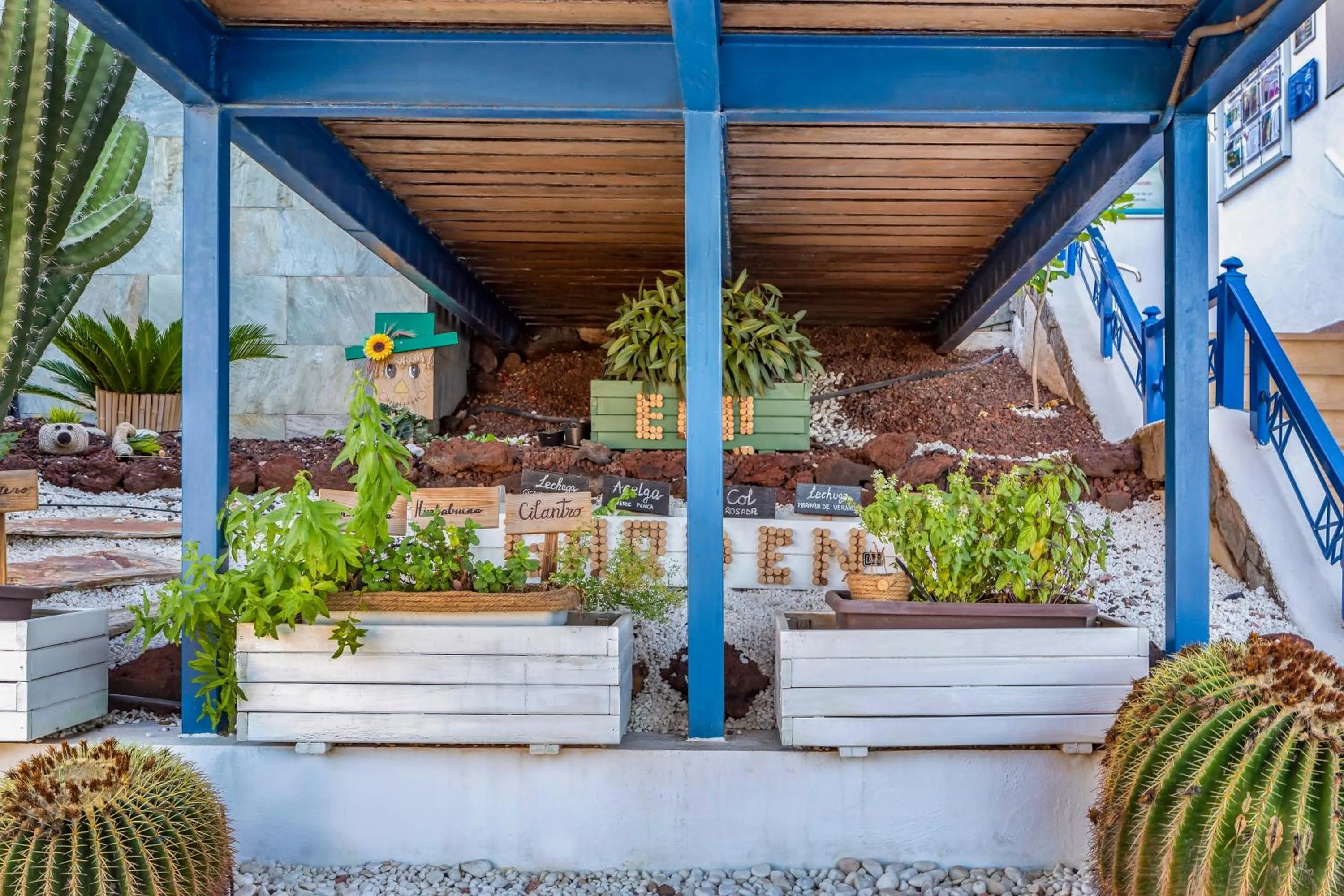 Garden in Club Cala Blanca