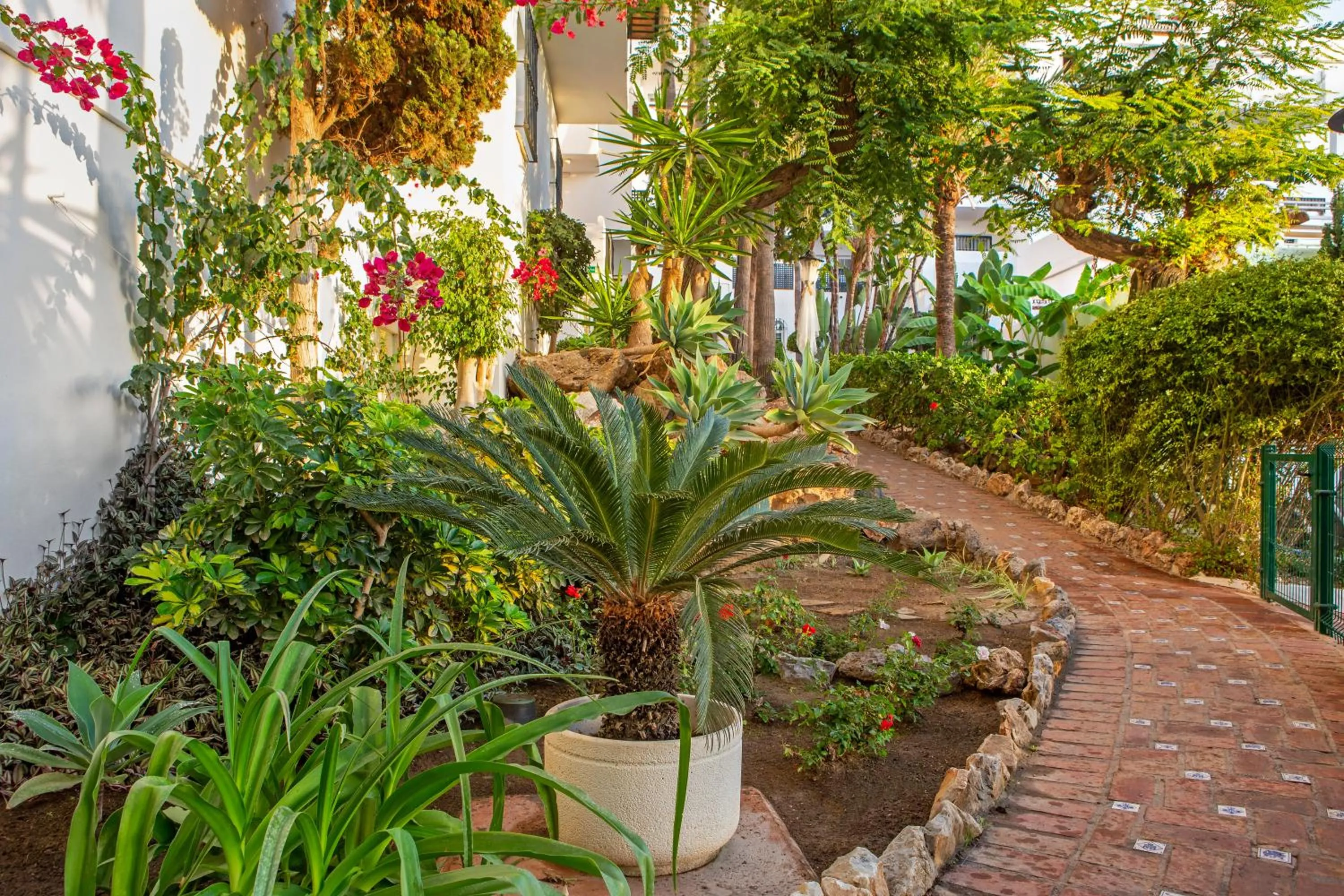 Garden in Royal Oasis Club at Pueblo Quinta
