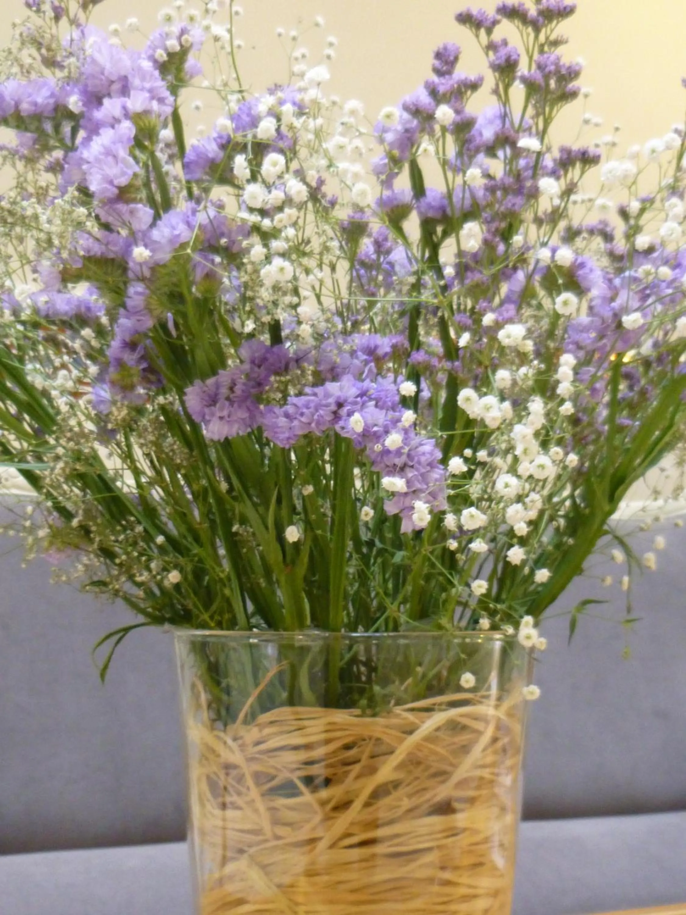 View (from property/room) in Le Petit Paris