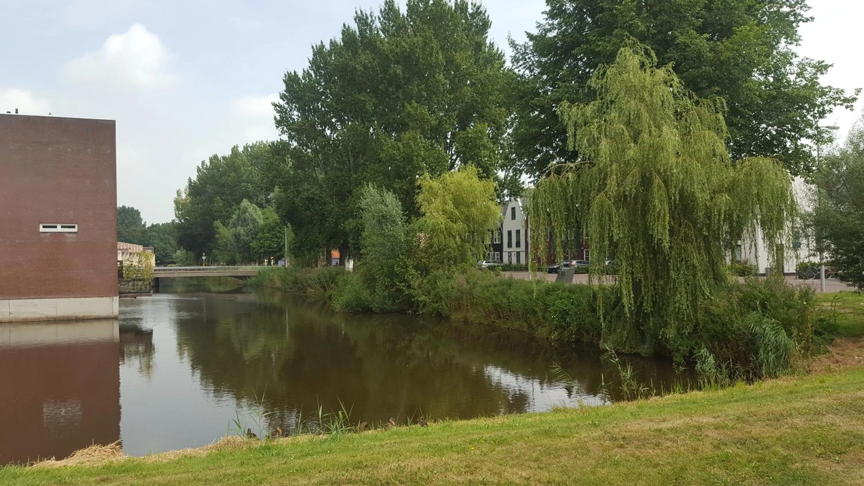 Neighbourhood in JamieK's BnB