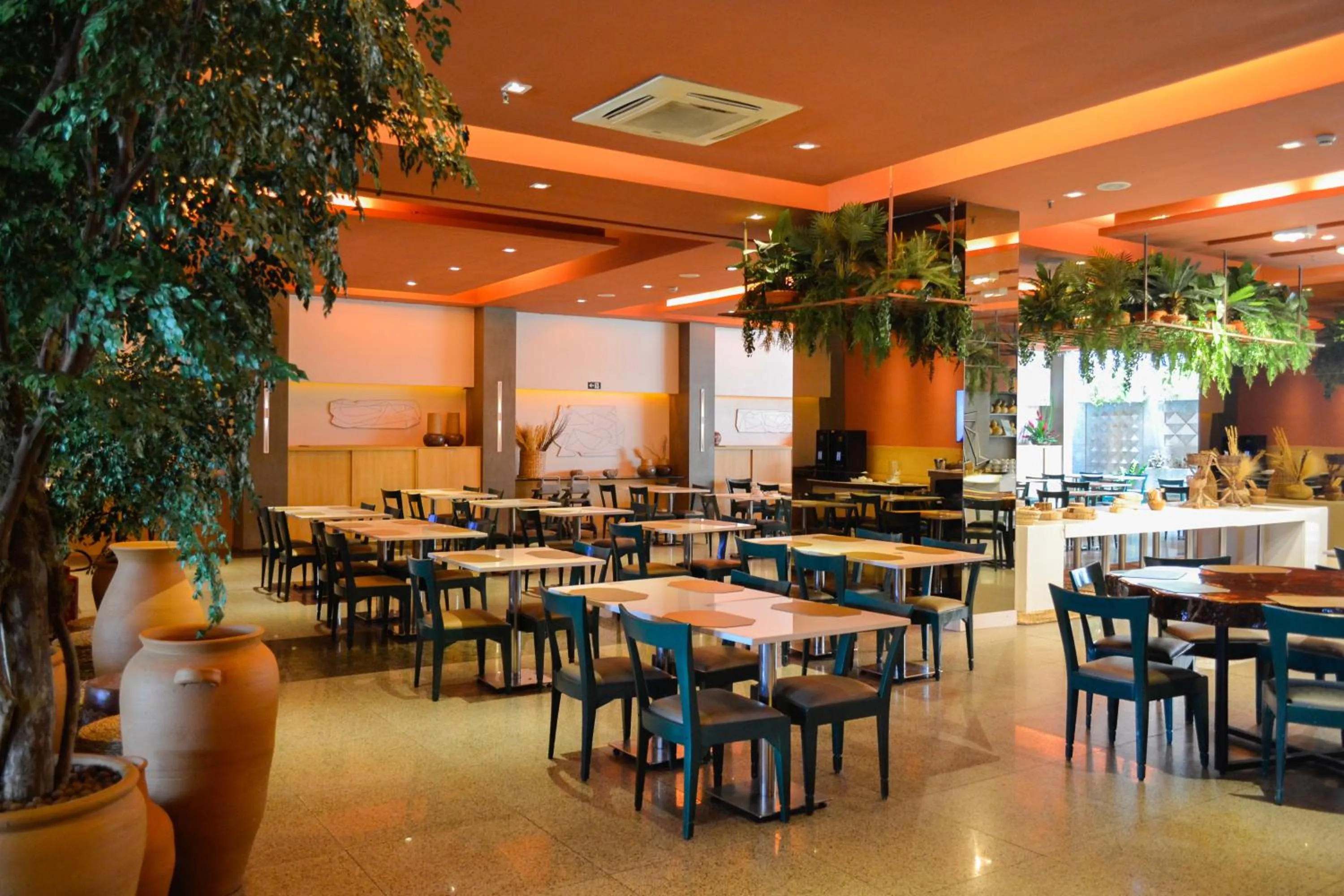 Restaurant/places to eat in Seara Praia Hotel