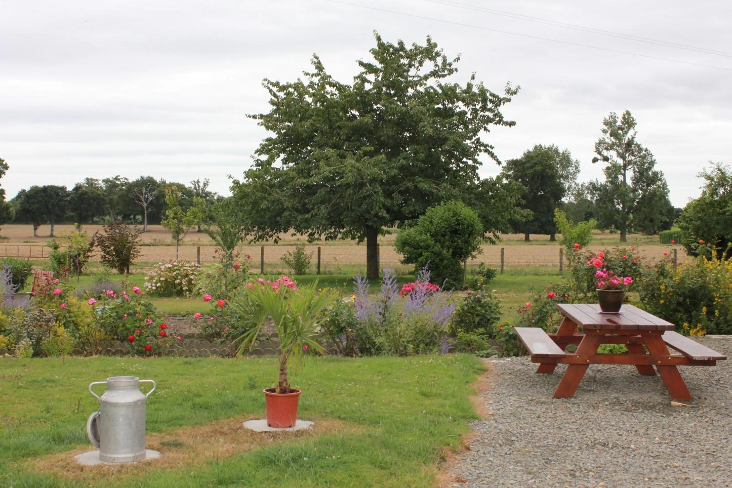 Summer in Au p'tit Mont