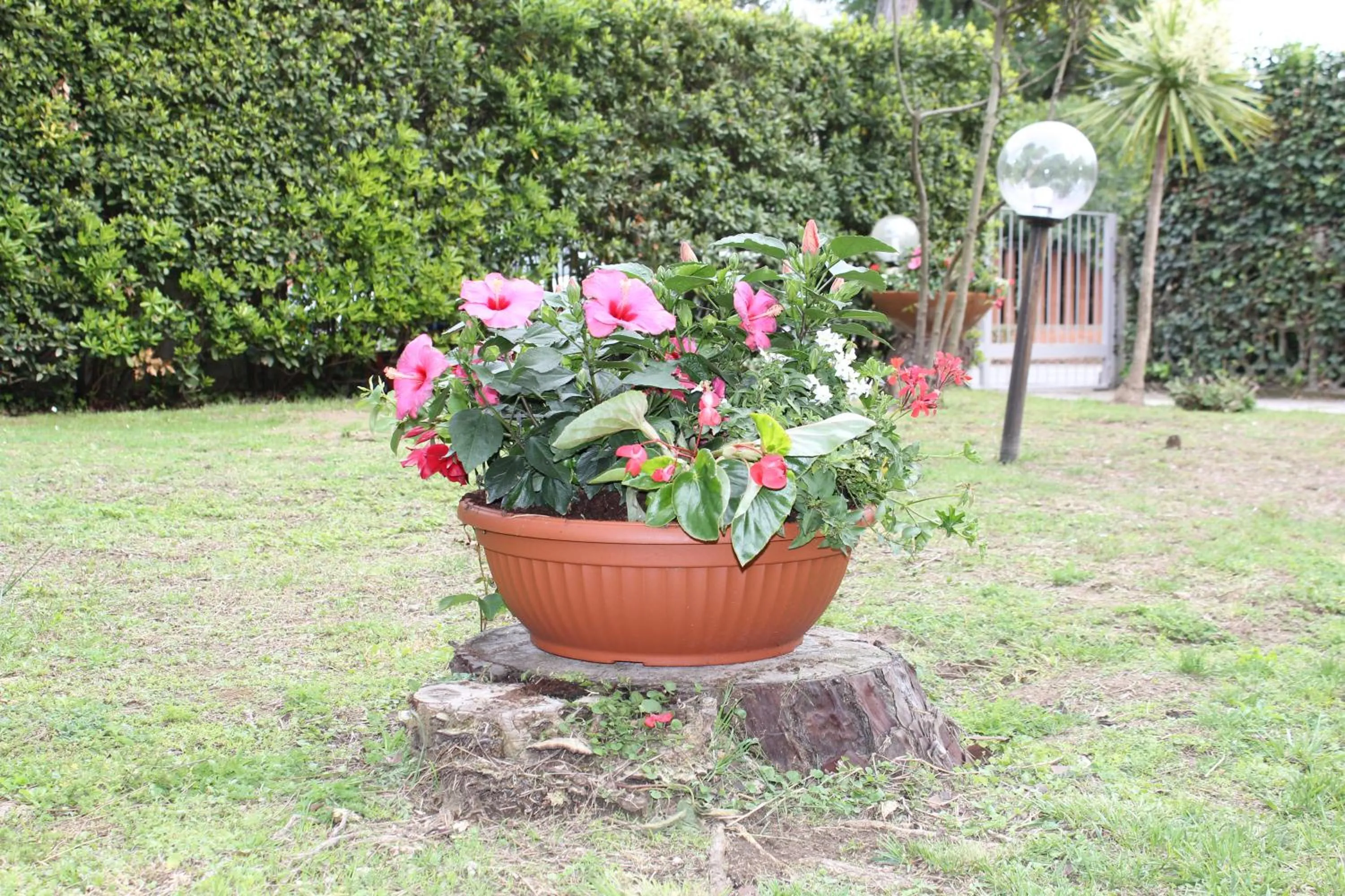 Garden view in Comfort Zone