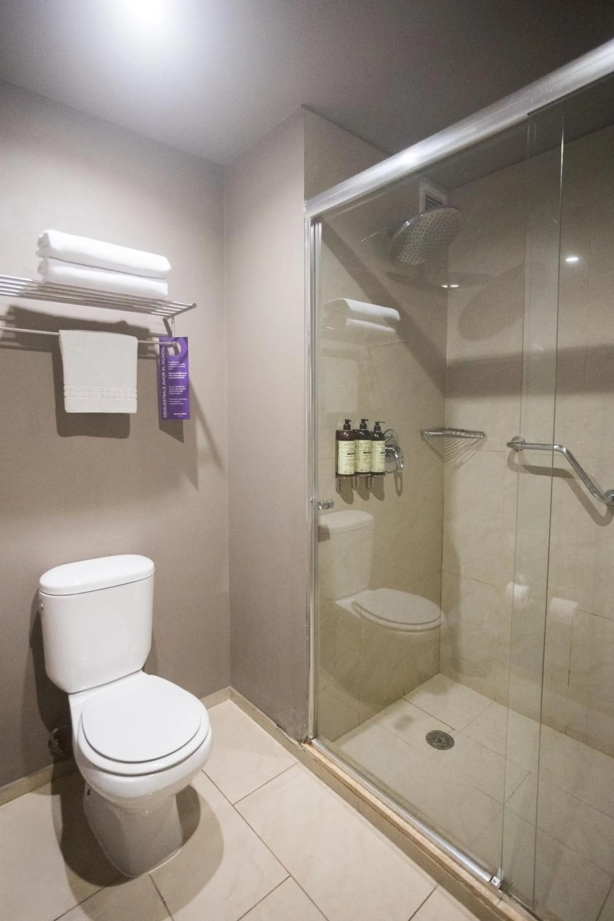 Shower in Mercure Santiago Centro