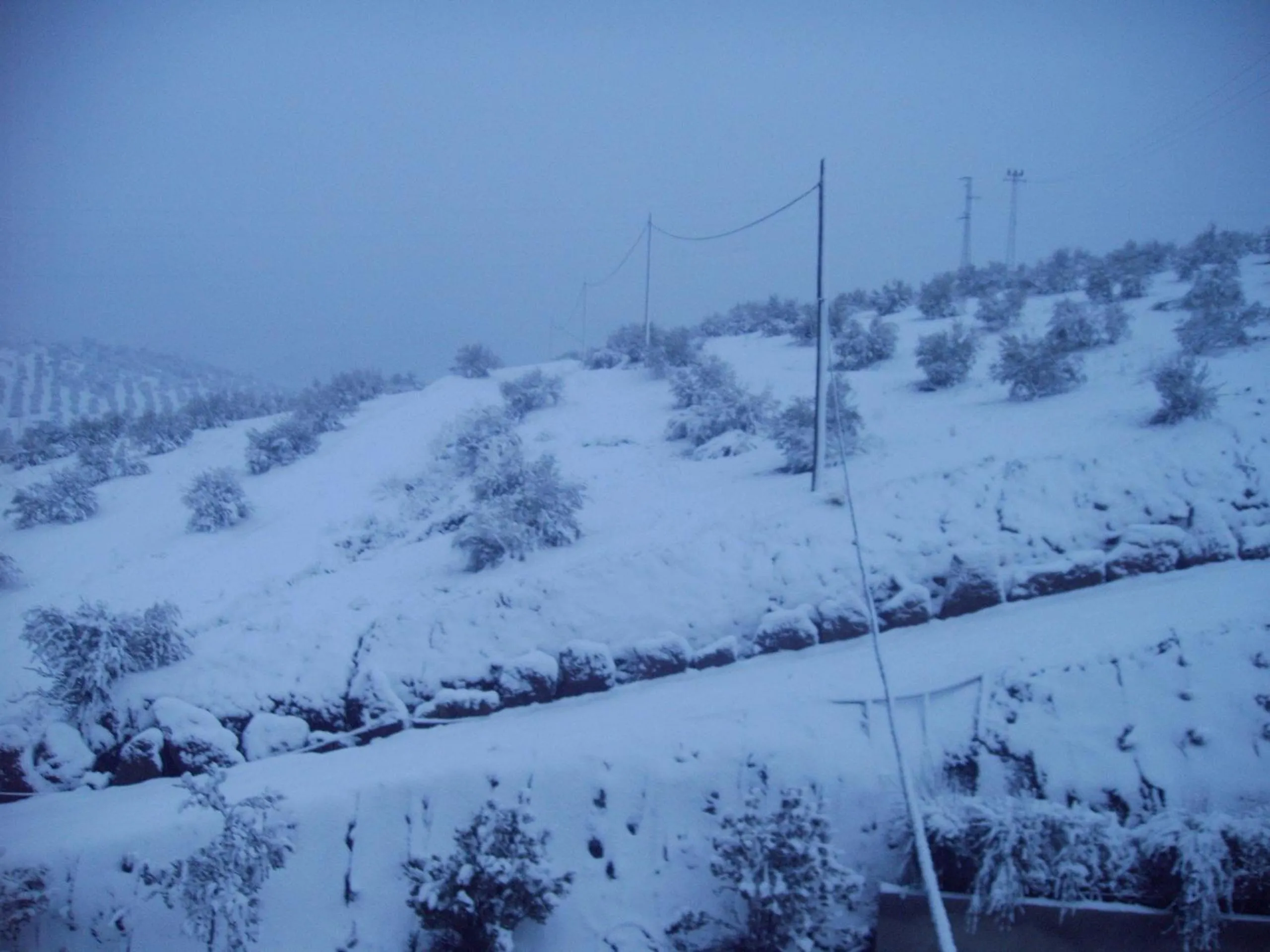 View (from property/room) in Hotel Don Juan