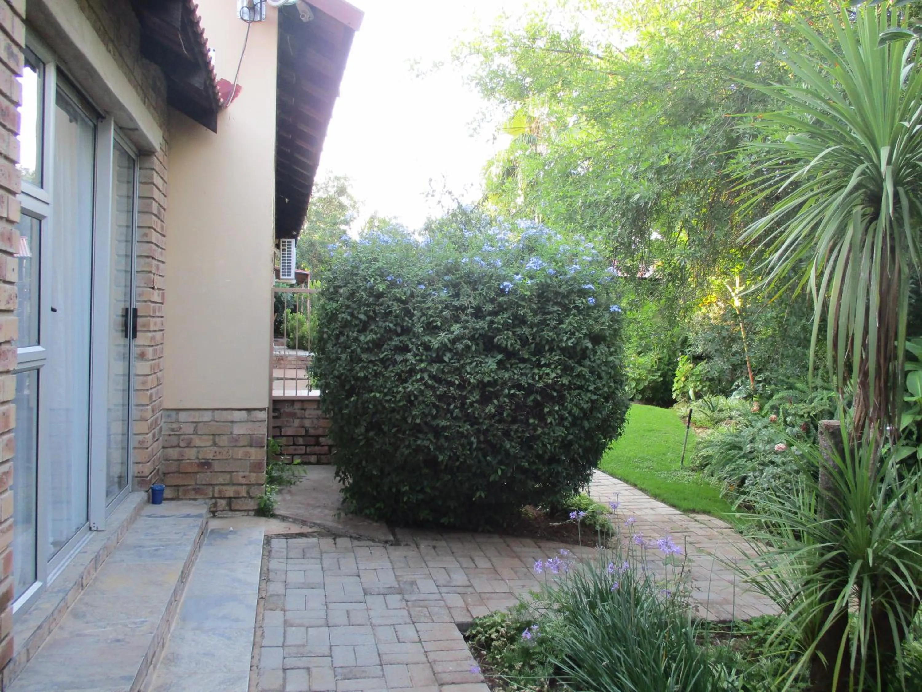 Garden view in Ukarimu Guest House