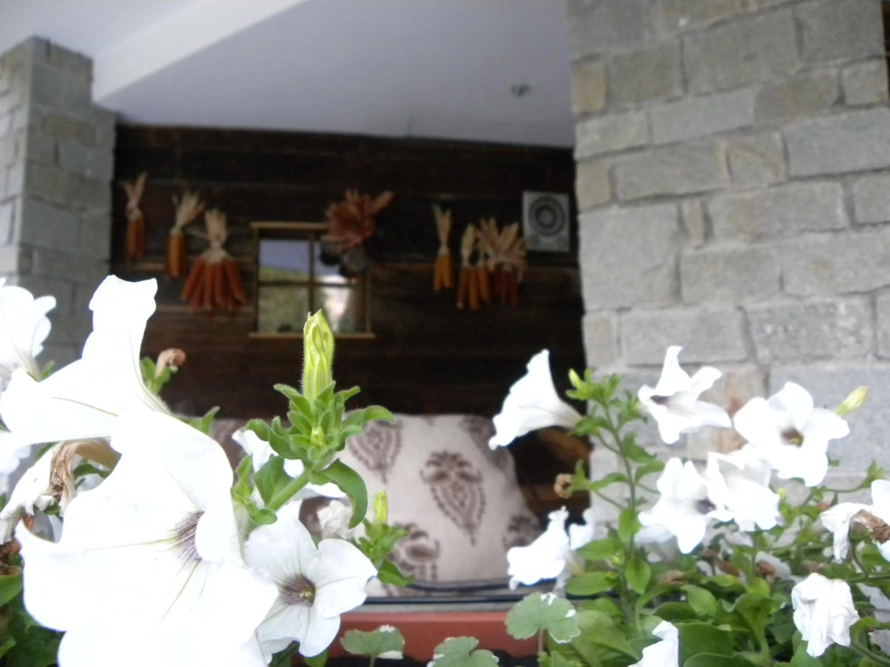 View (from property/room) in Maribel Hotel