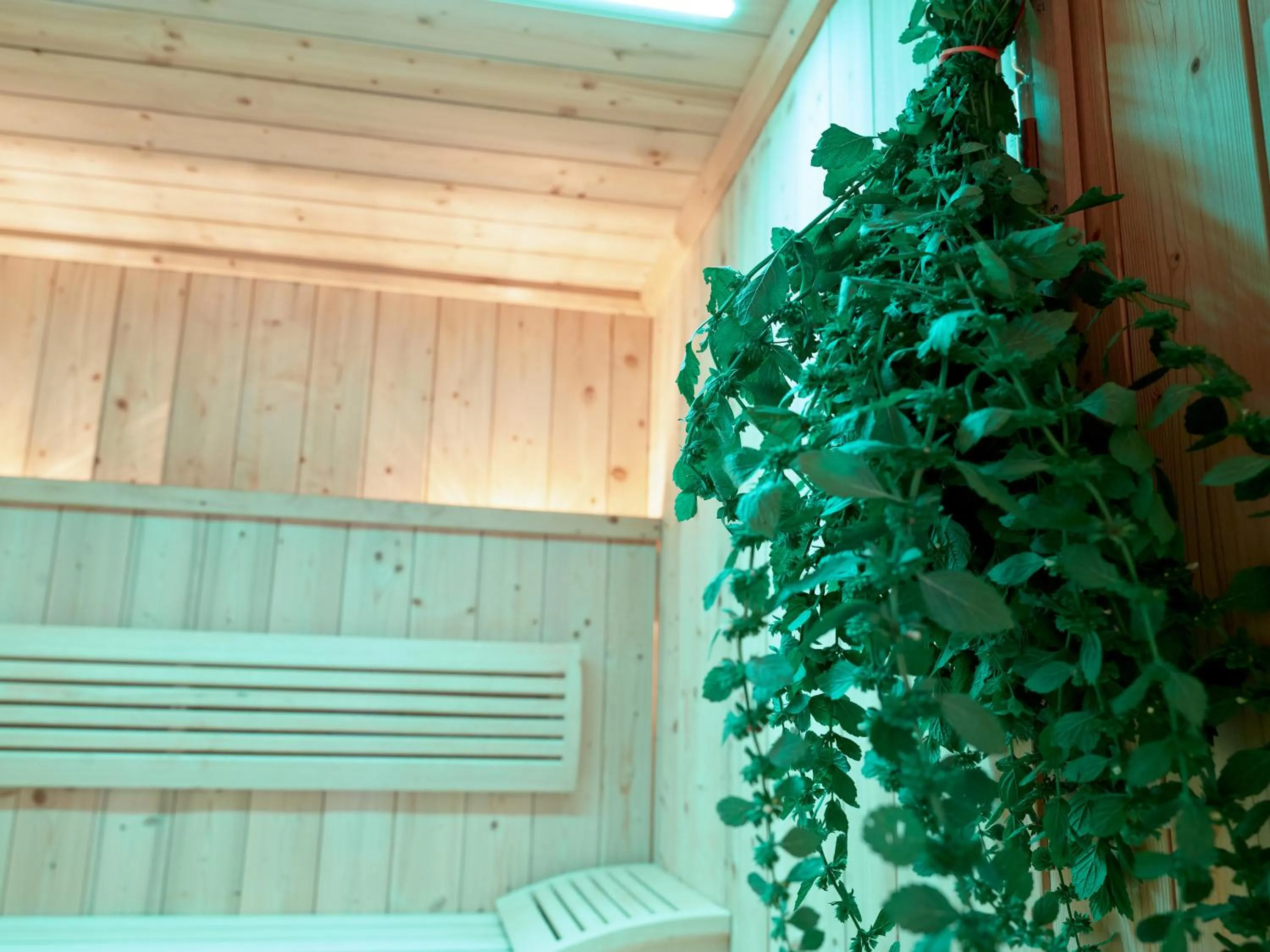 Sauna in Landhotel Geyer