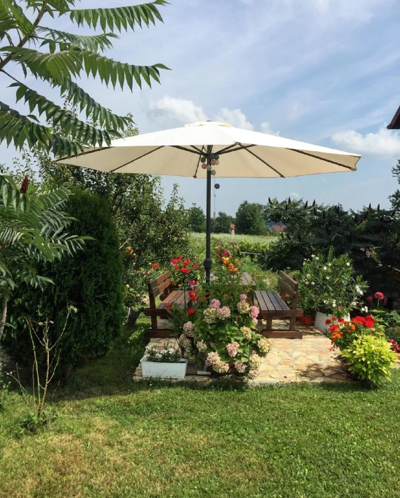 Patio in House Antonia