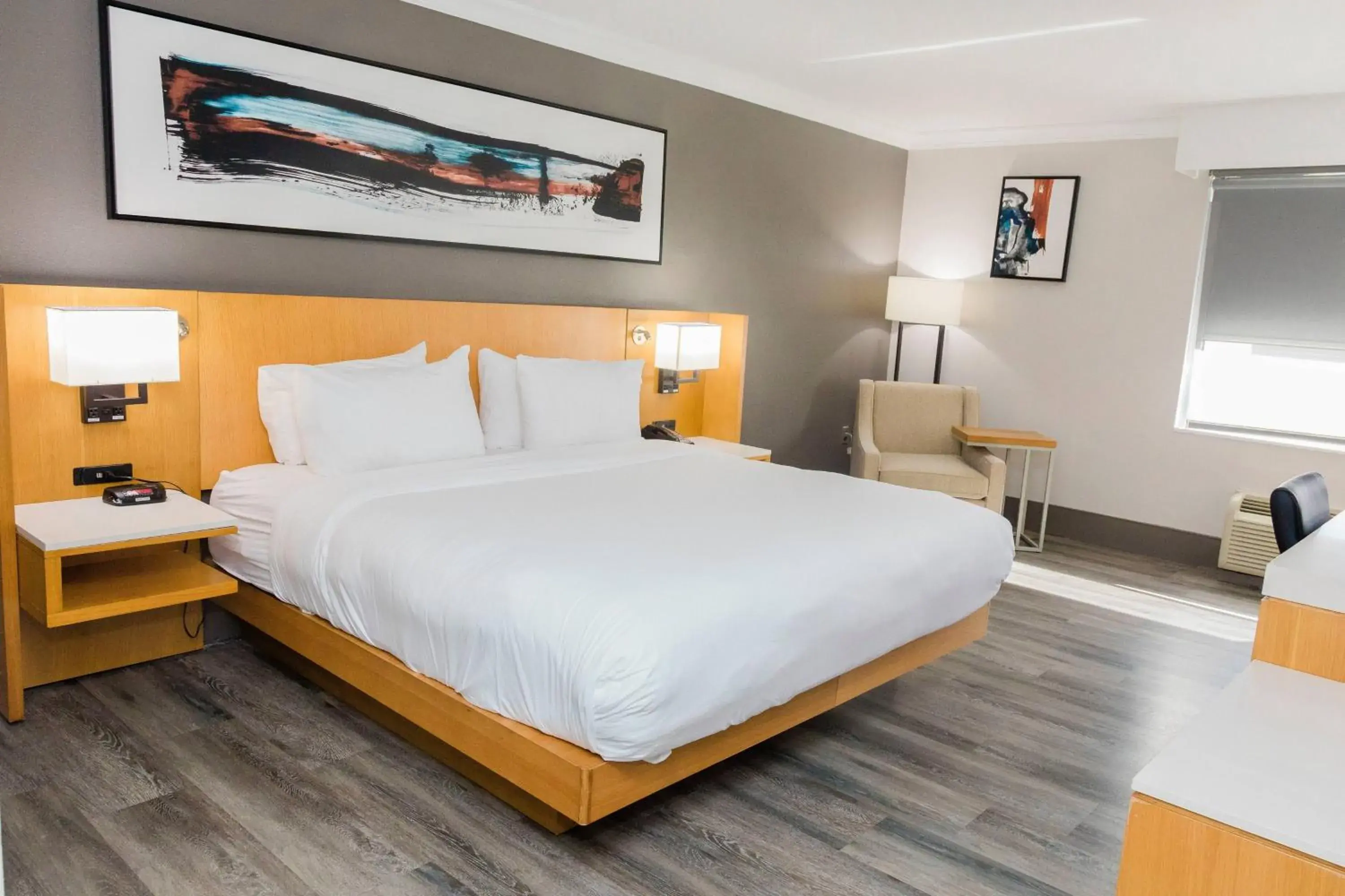 King Room with Roll-in Shower - Mobility and Hearing Accessible in Delta Hotels by Marriott Columbia Northeast King Room with Roll-in Shower - Mobility and Hearing Accessible in Delta Hotels by Marriott Columbia Northeast