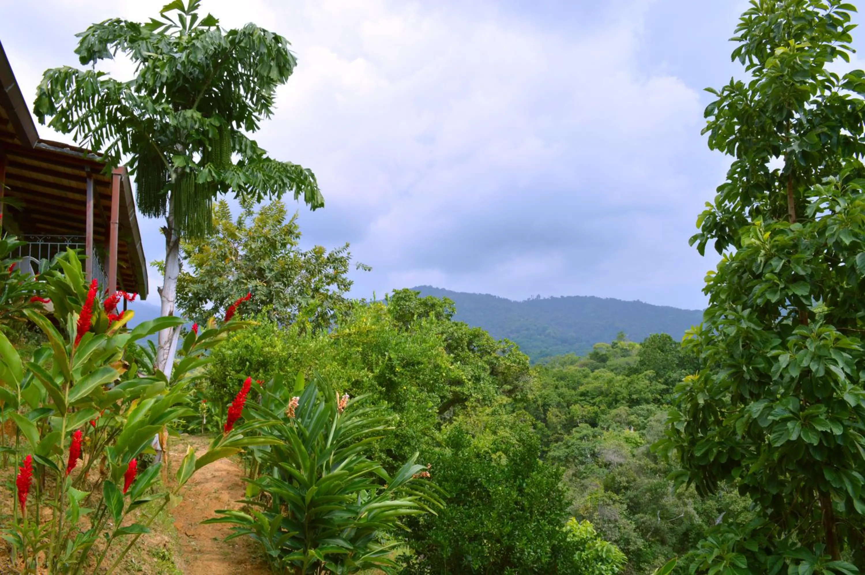 Day in Sweet Harmony Hotel Boutique by Xarm Hotels