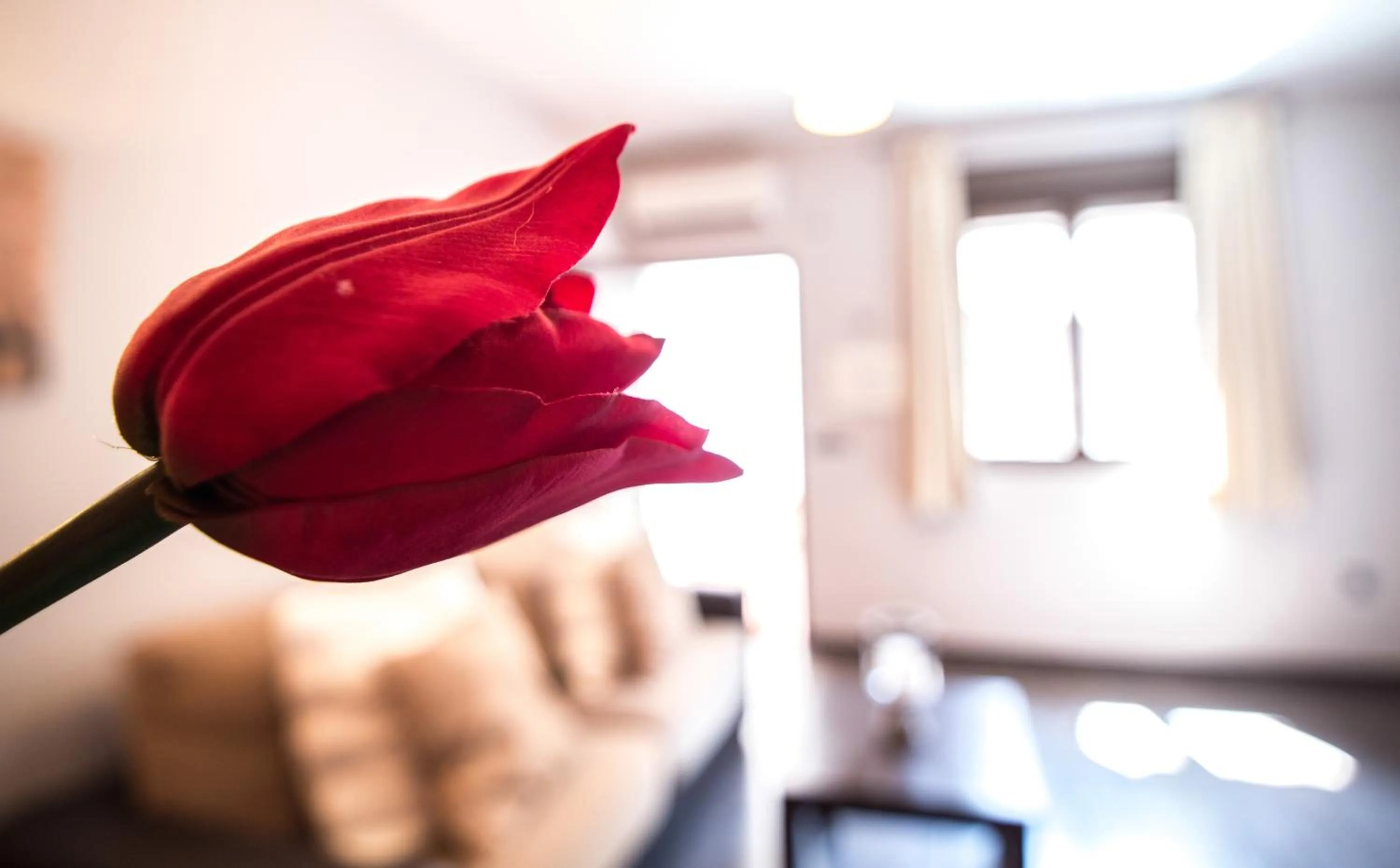 Other in Alda Suite de los Reyes