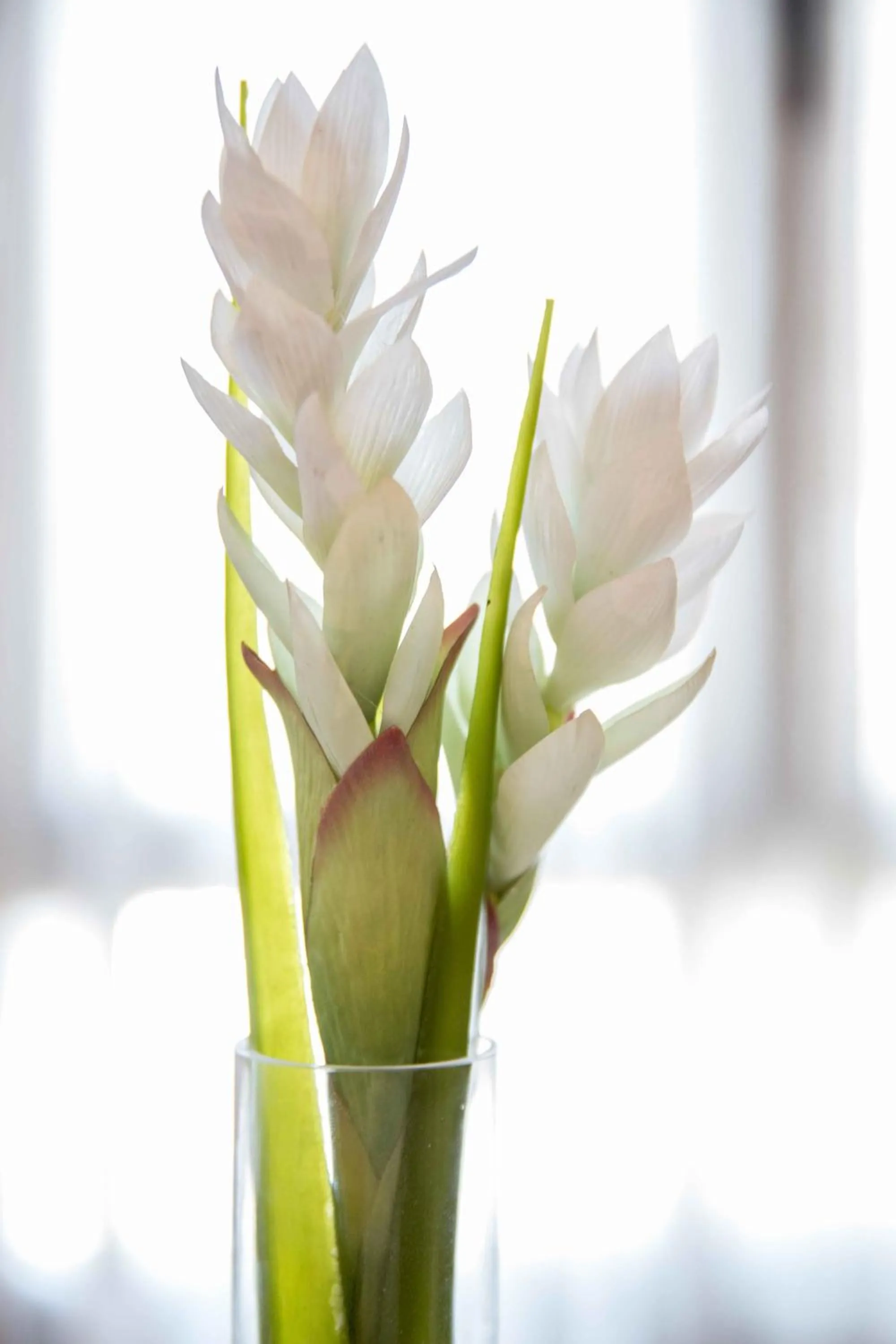 Other in Alda Suite de los Reyes