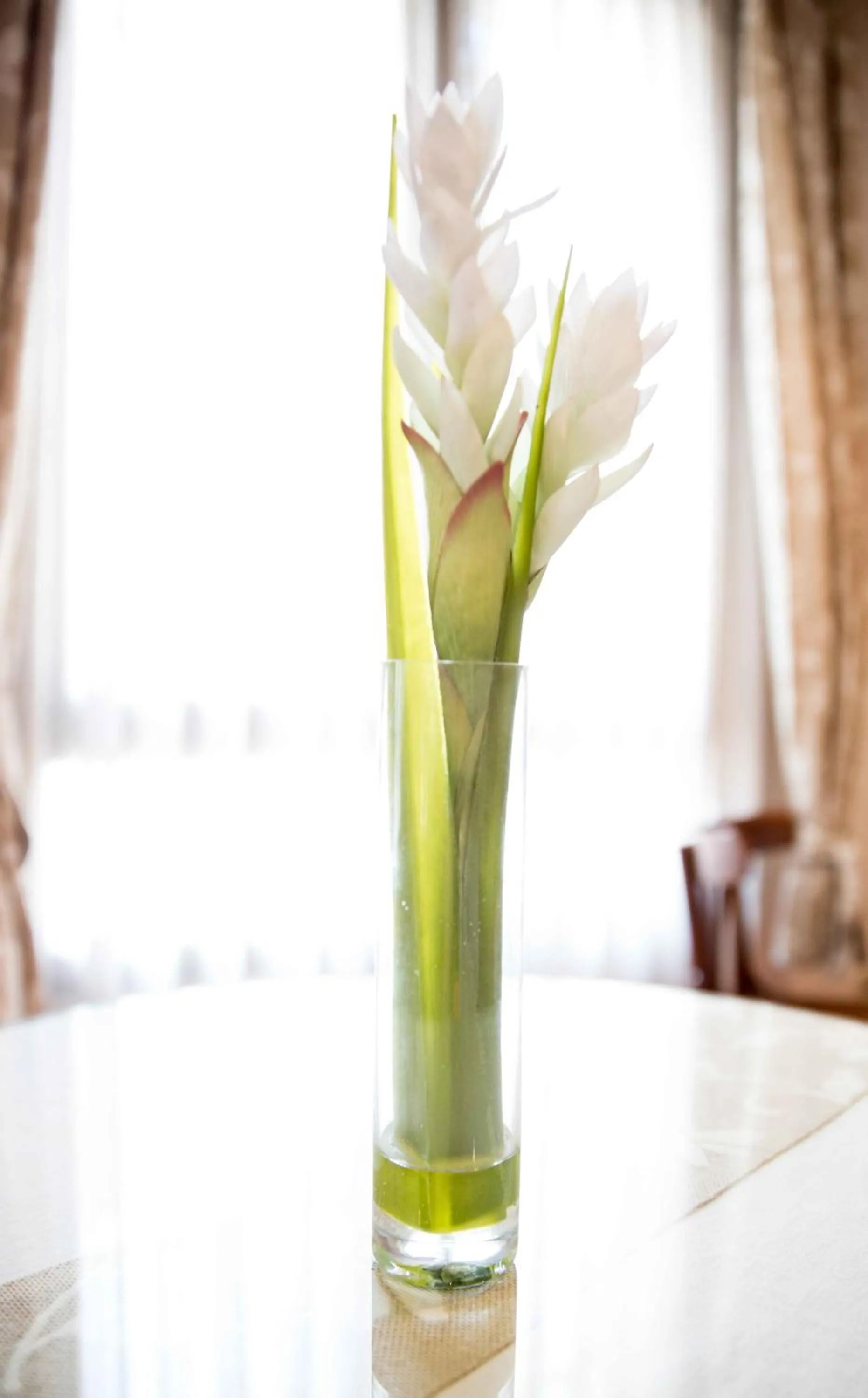 Other in Alda Suite de los Reyes