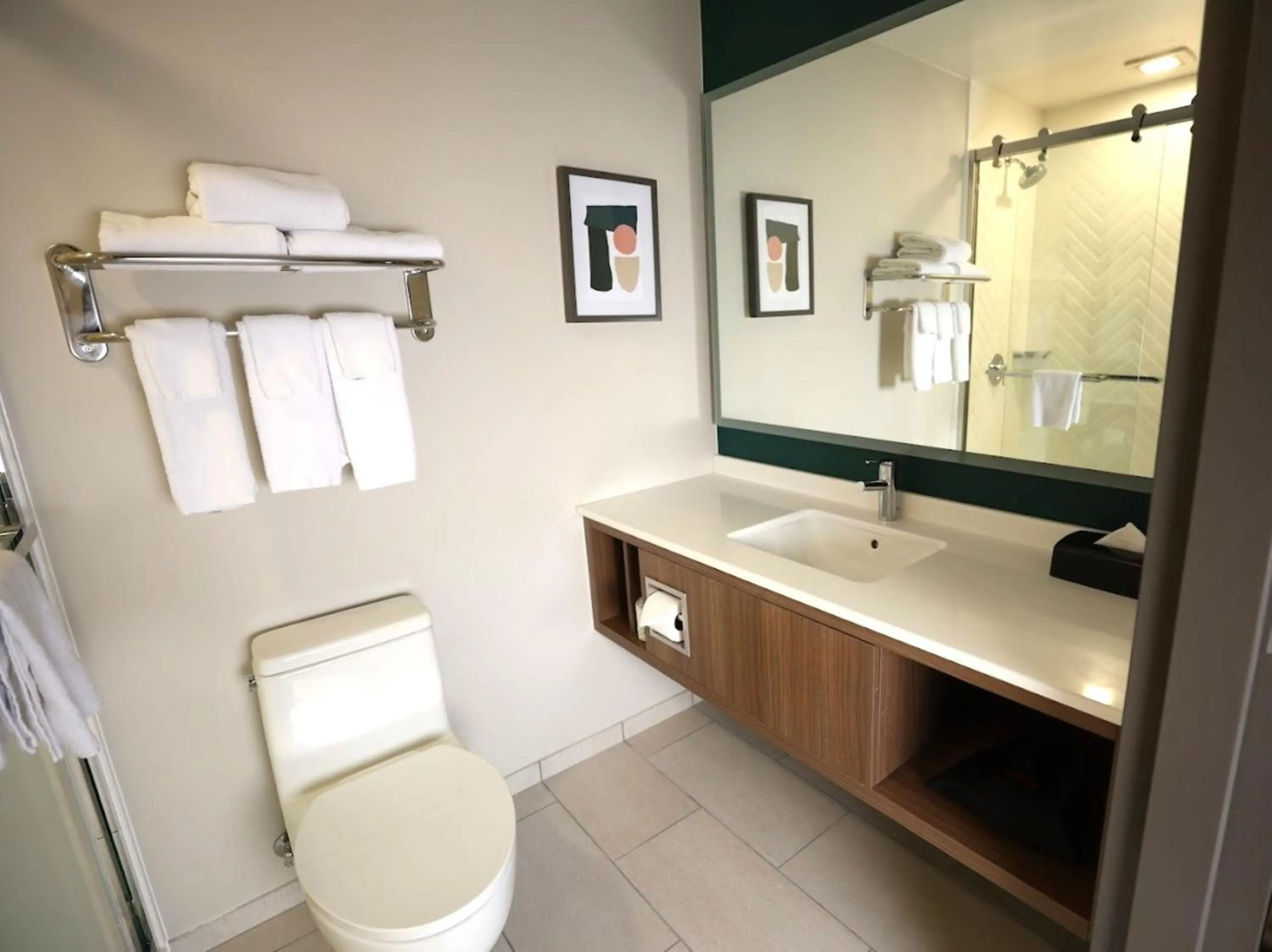 Bathroom in Holiday Inn Saint Louis-Fairview Heights by IHG