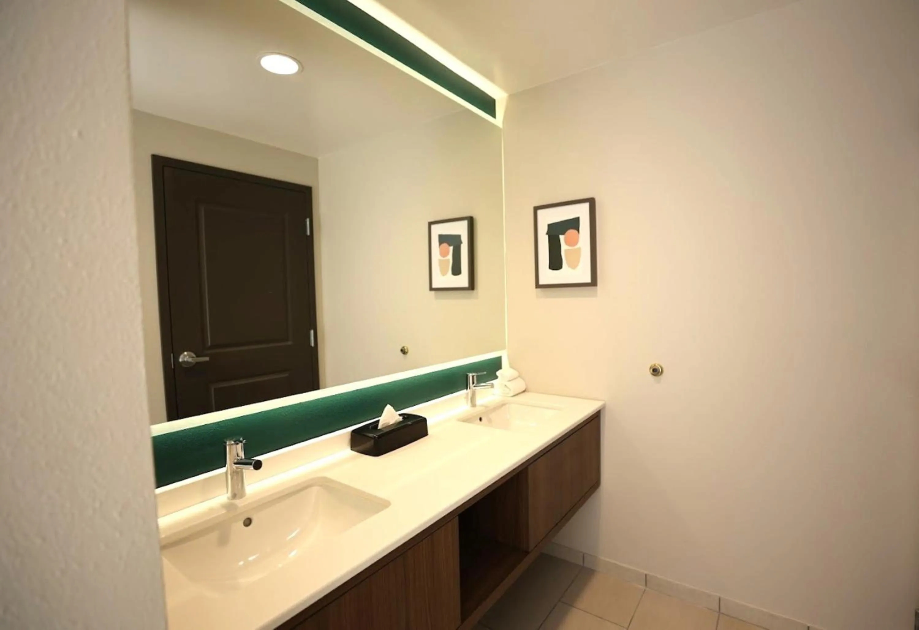 Bathroom in Holiday Inn Saint Louis-Fairview Heights by IHG
