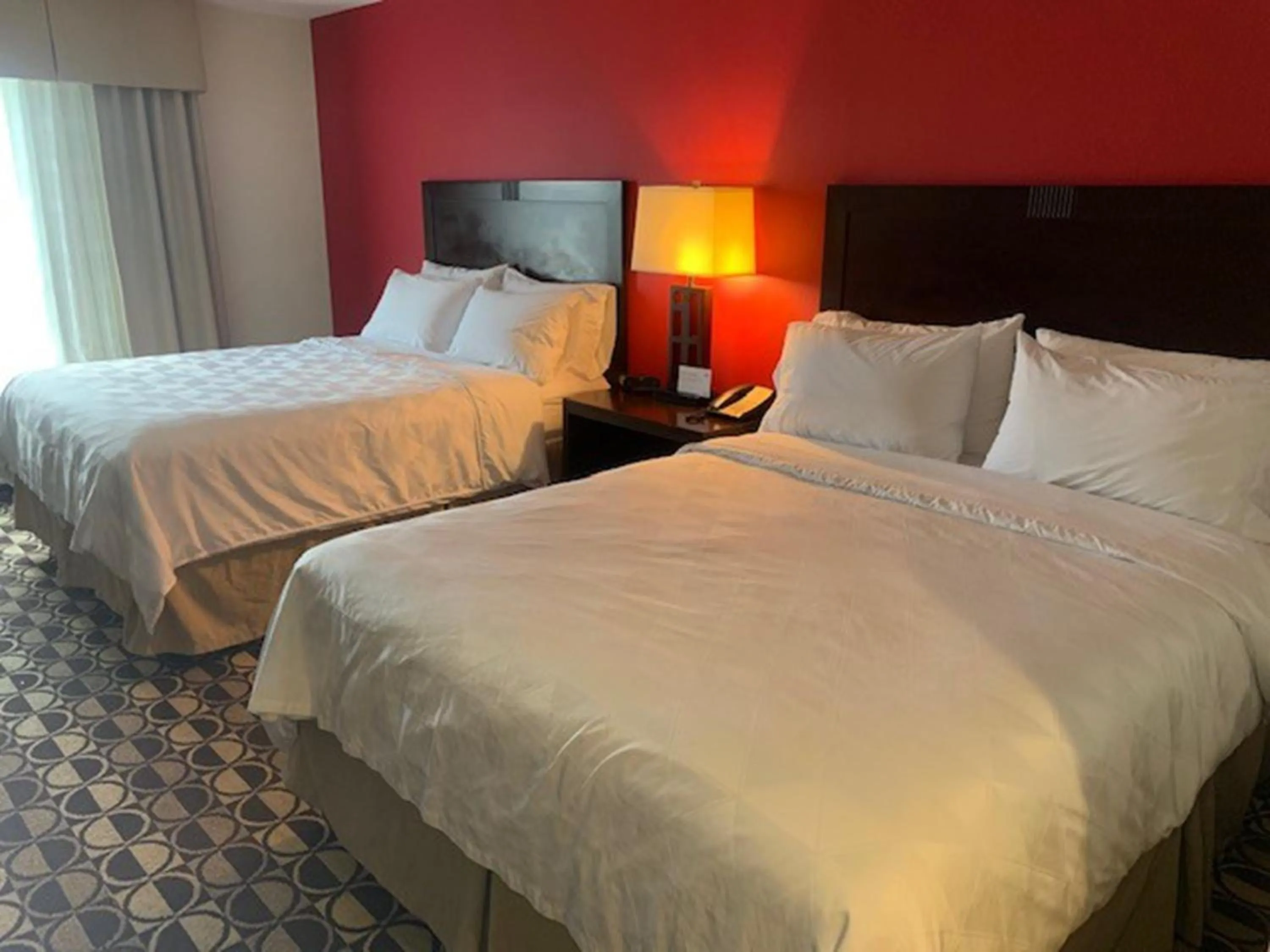 Photo of the whole room, Bed in Holiday Inn Saint Louis-Fairview Heights by IHG
