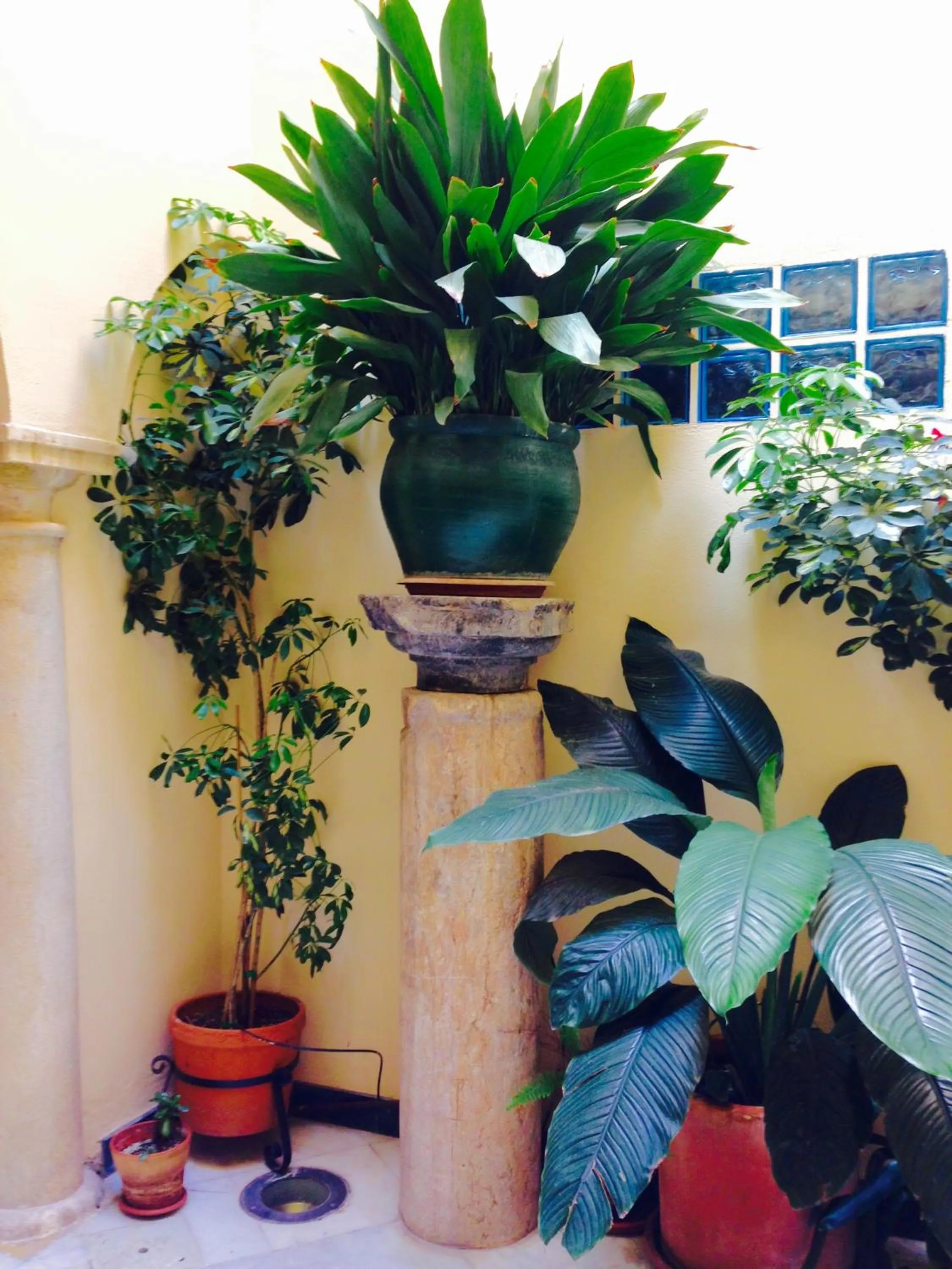 Facade/entrance in Hotel Conde de Cárdenas