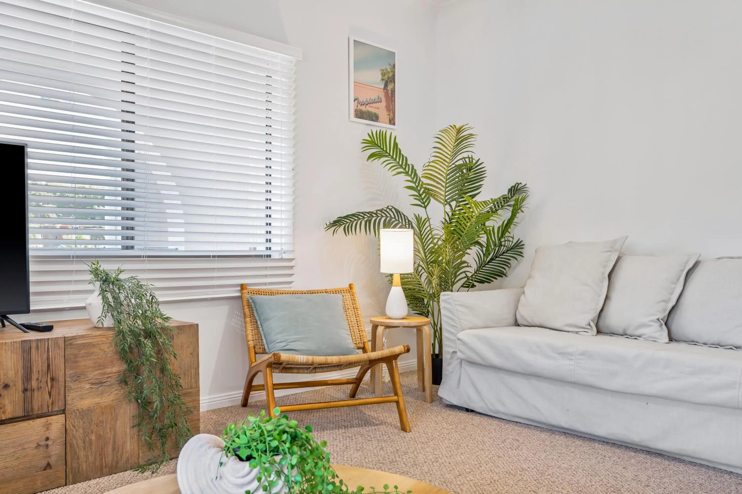 The Med Crescent Head