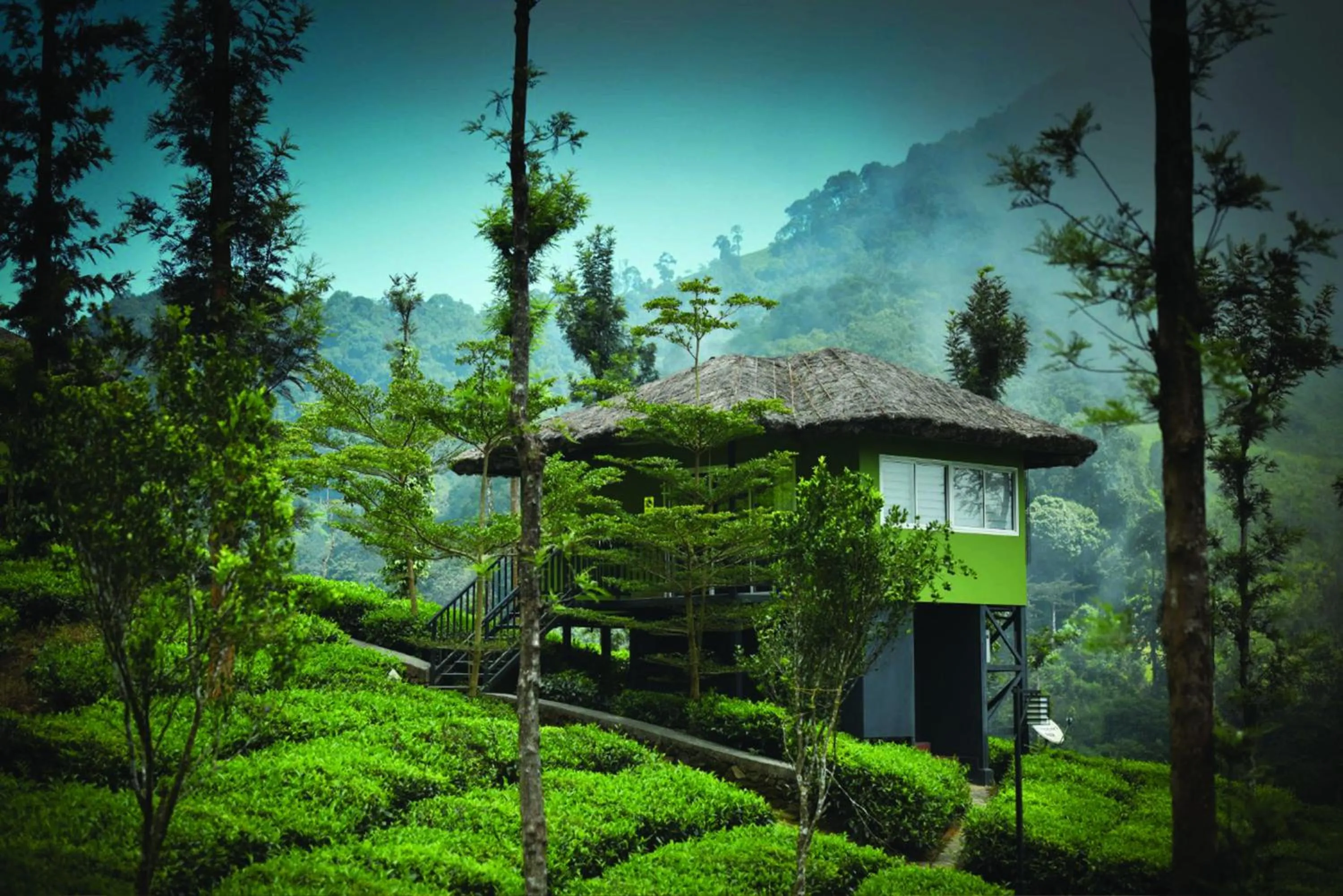 Garden in Wild Planet Jungle Resort