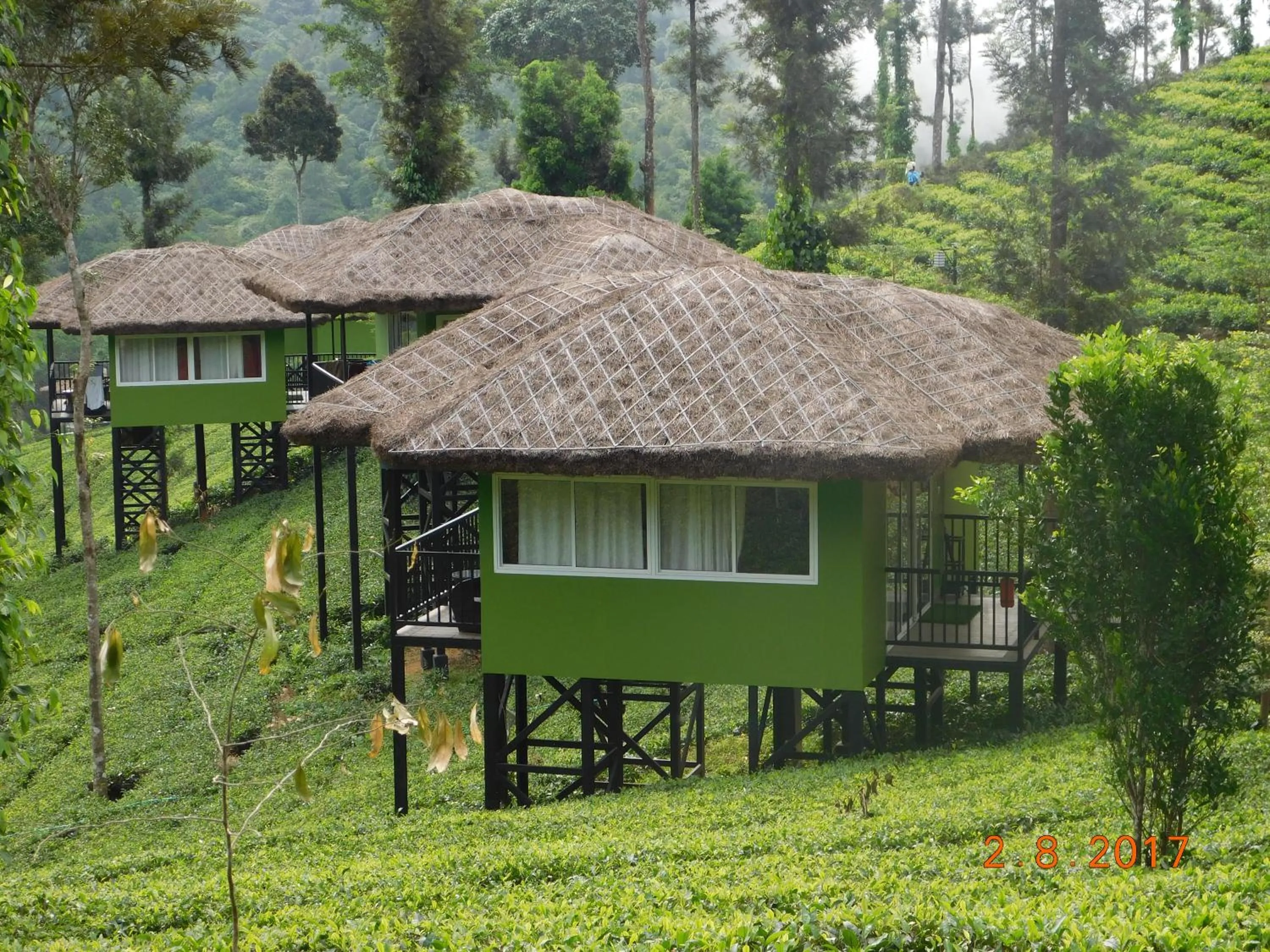 View (from property/room) in Wild Planet Jungle Resort