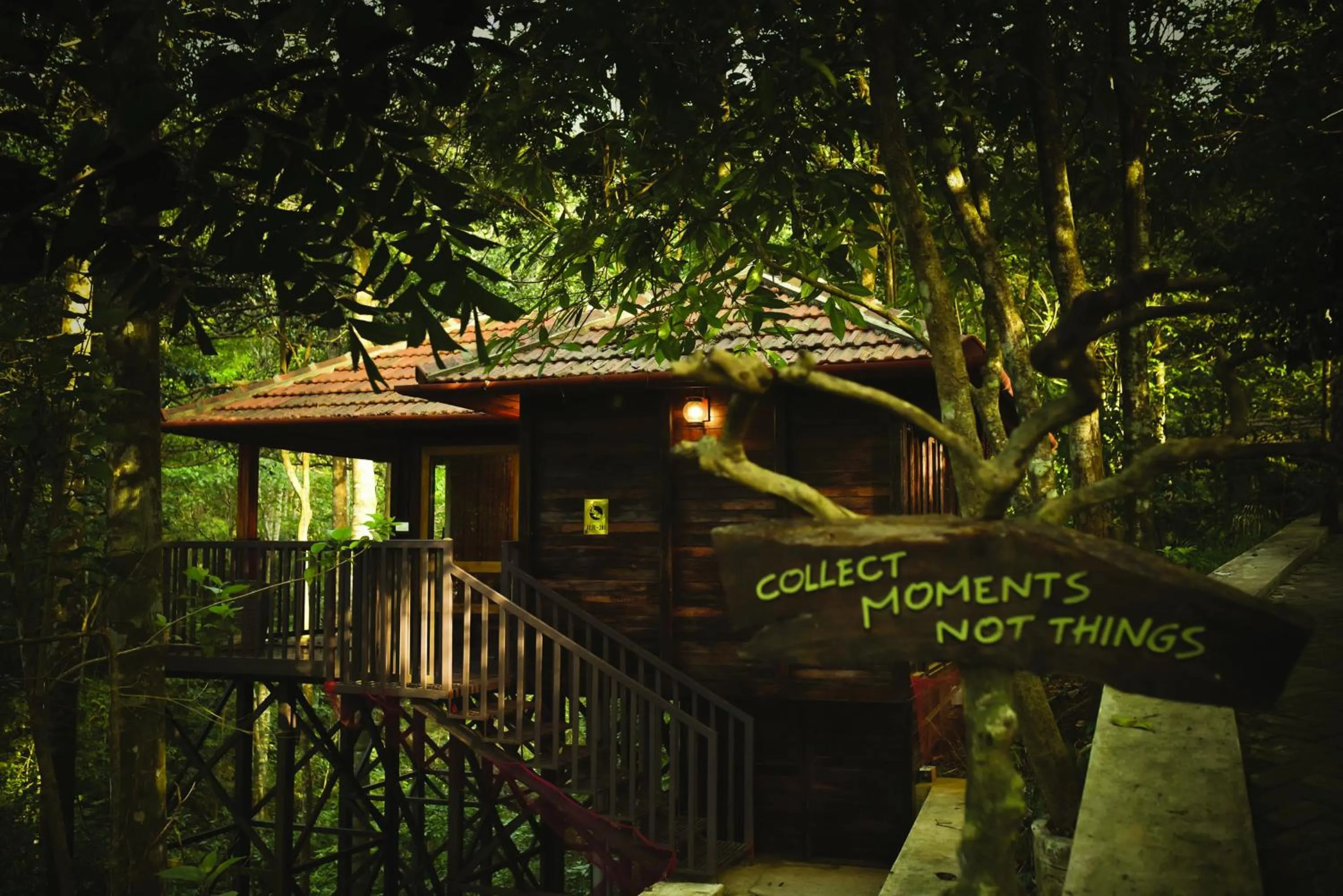 Wild Planet Jungle Resort