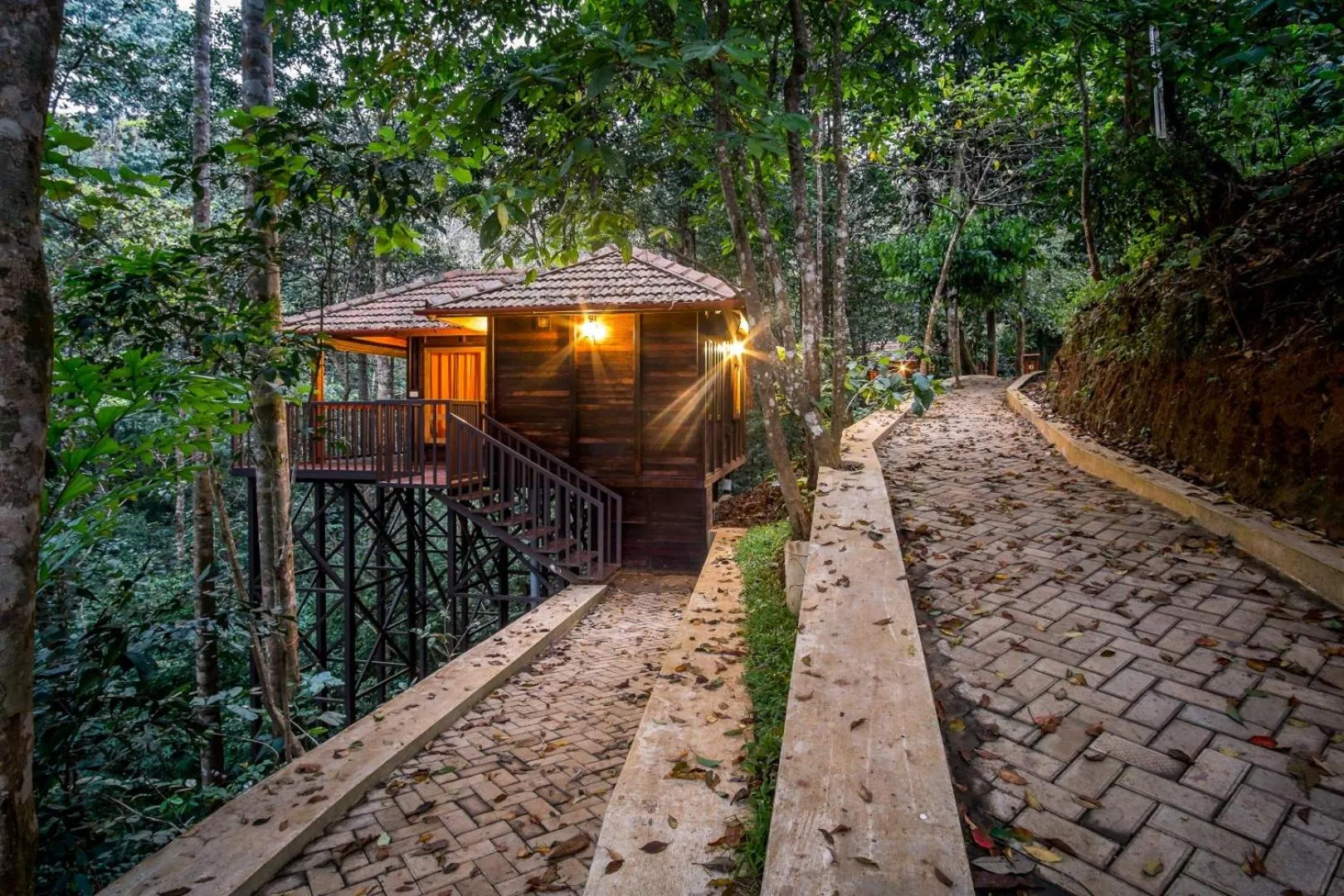 Property building in Wild Planet Jungle Resort