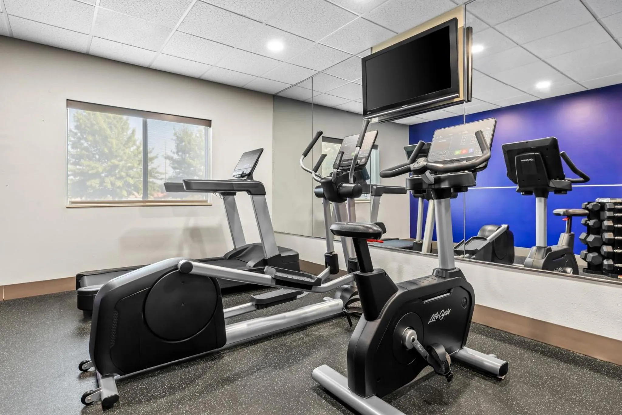 Fitness centre/facilities in Holiday Inn Express Florence Northeast by IHG