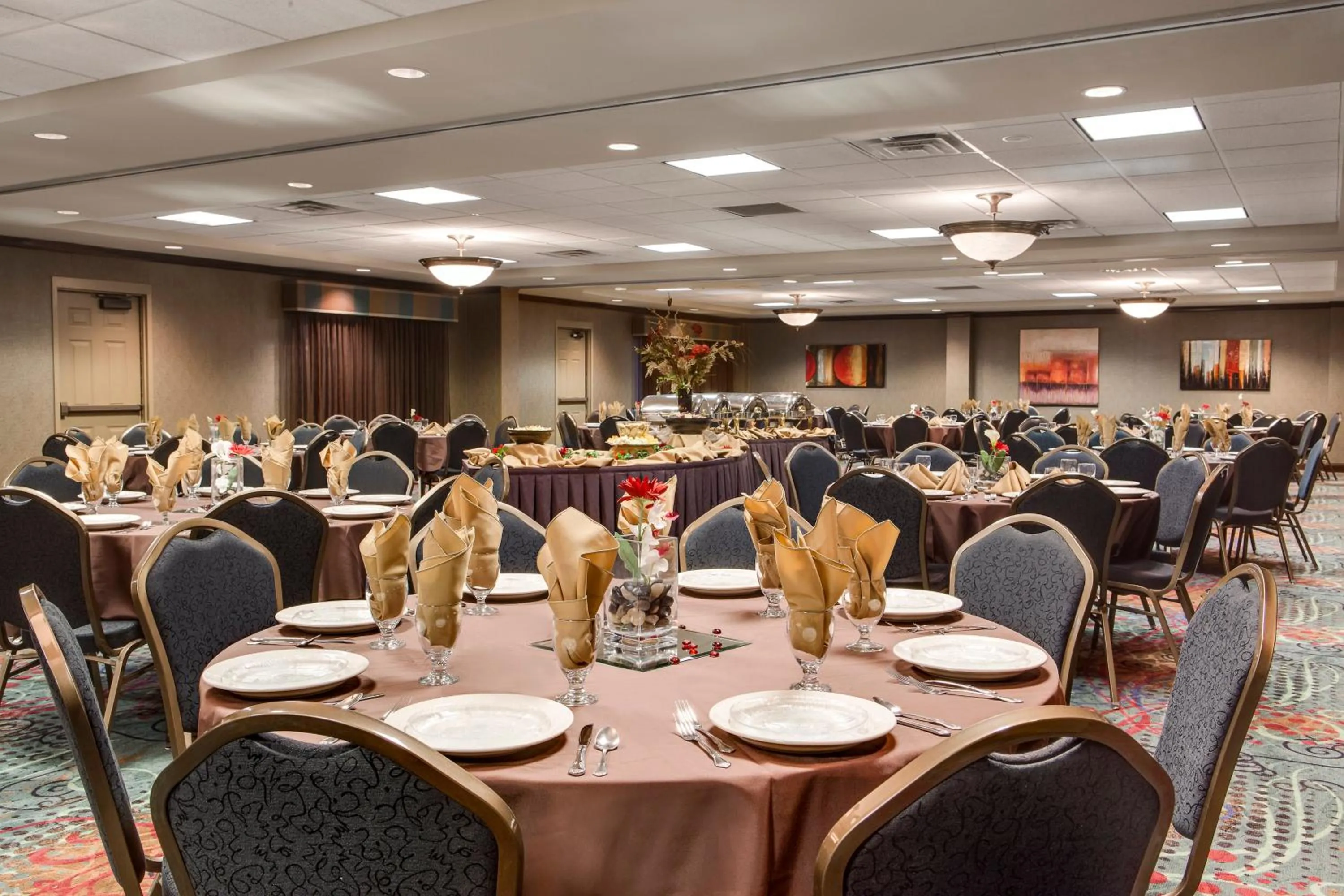 Banquet/Function facilities in Holiday Inn Hotel & Suites Council Bluffs by IHG