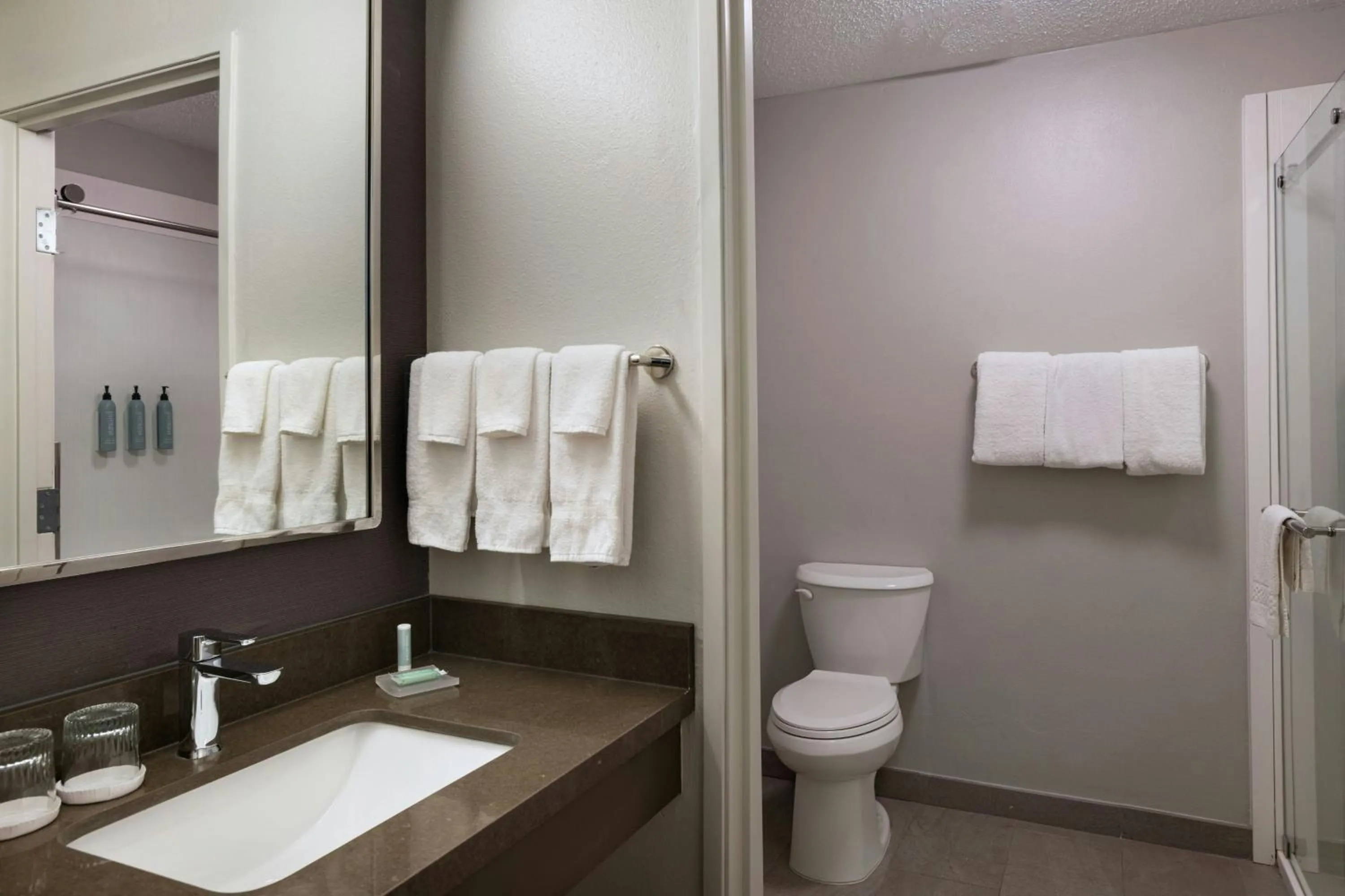 Bathroom in Courtyard Houston The Woodlands