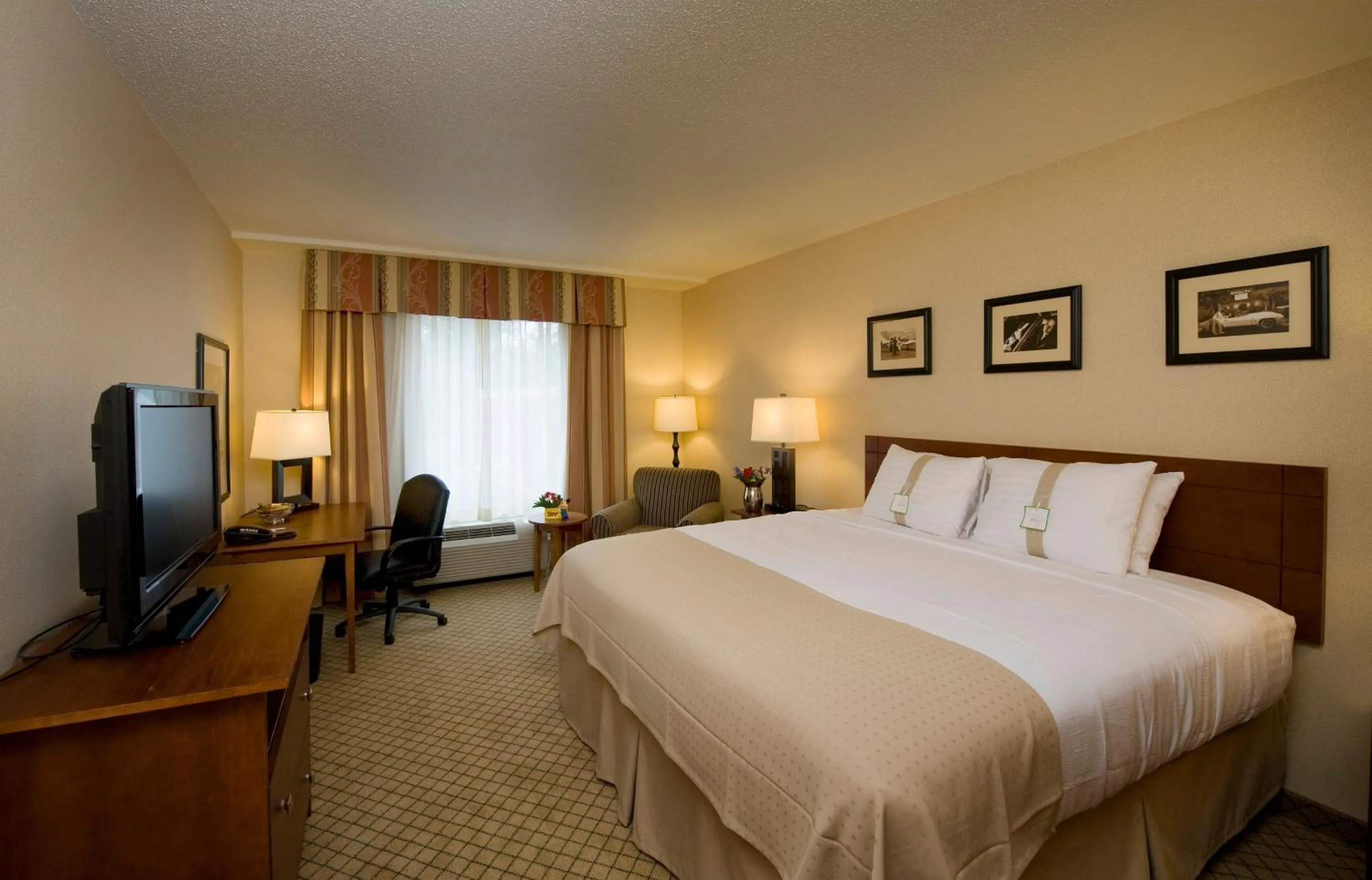 Photo of the whole room, Bed in Holiday Inn Purdue - Fort Wayne by IHG