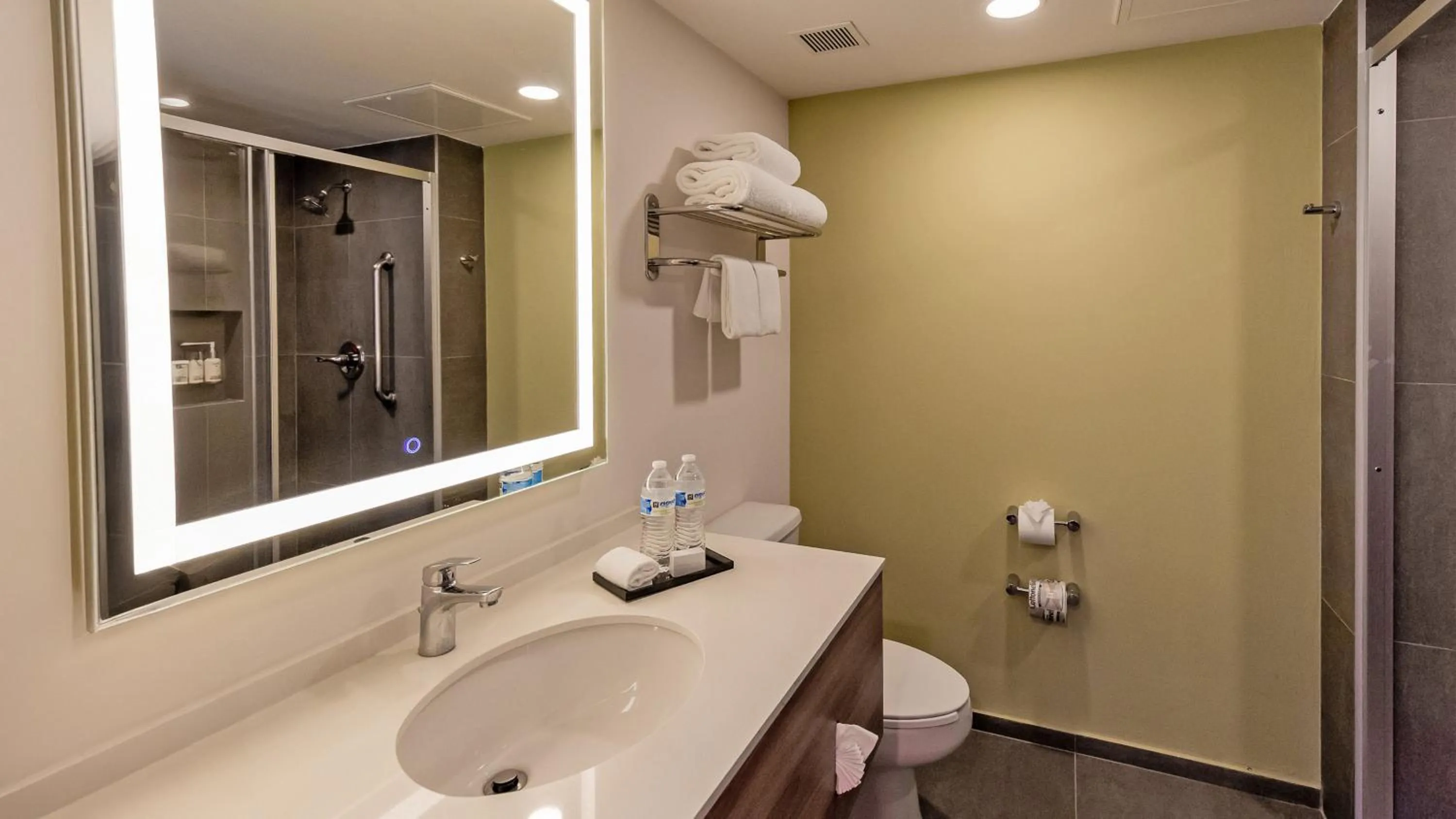 Photo of the whole room in Holiday Inn San Luis Potosi-Quijote by IHG