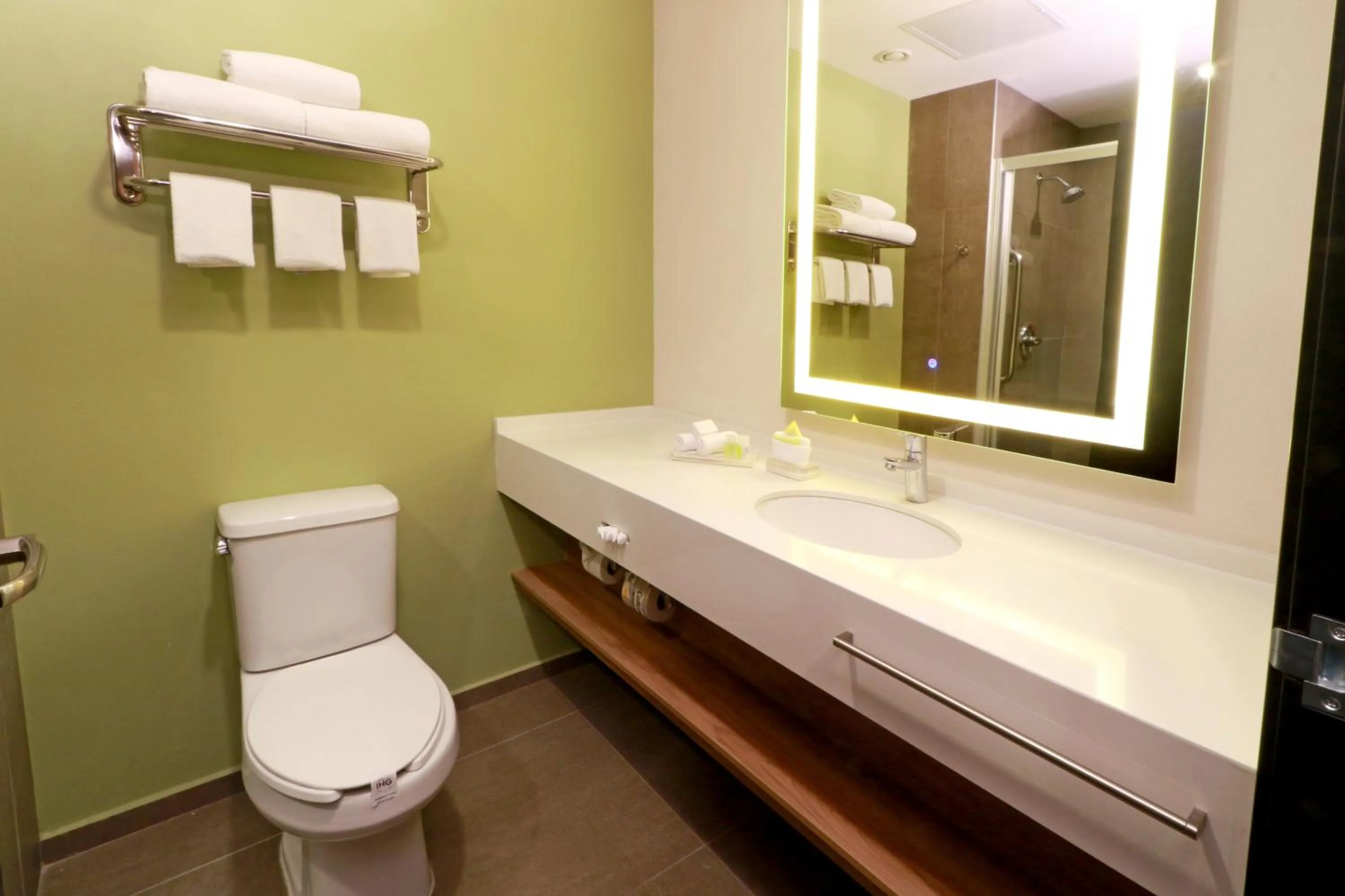 Bathroom in Holiday Inn San Luis Potosi-Quijote by IHG