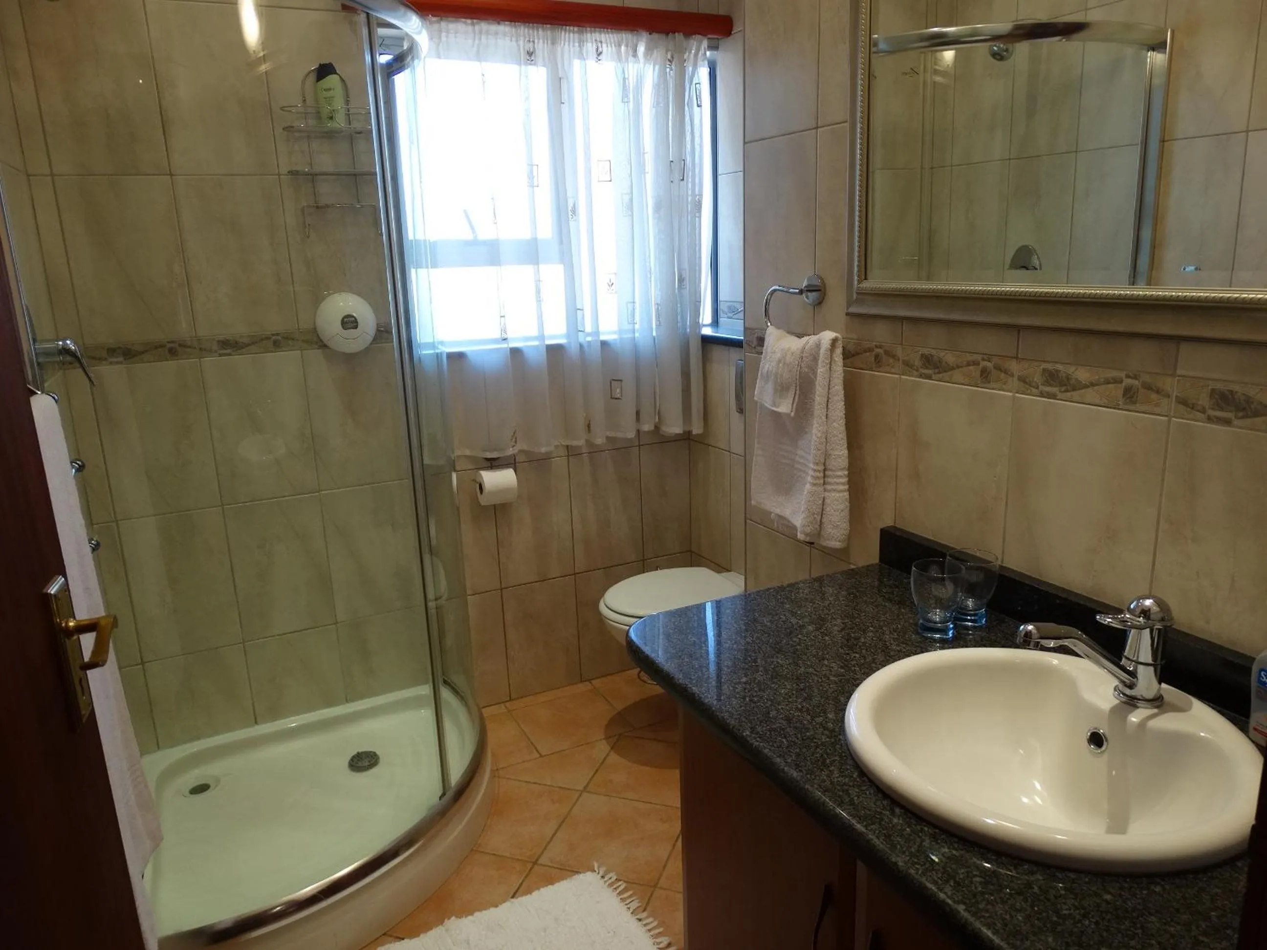 Shower in The Monte Carlo