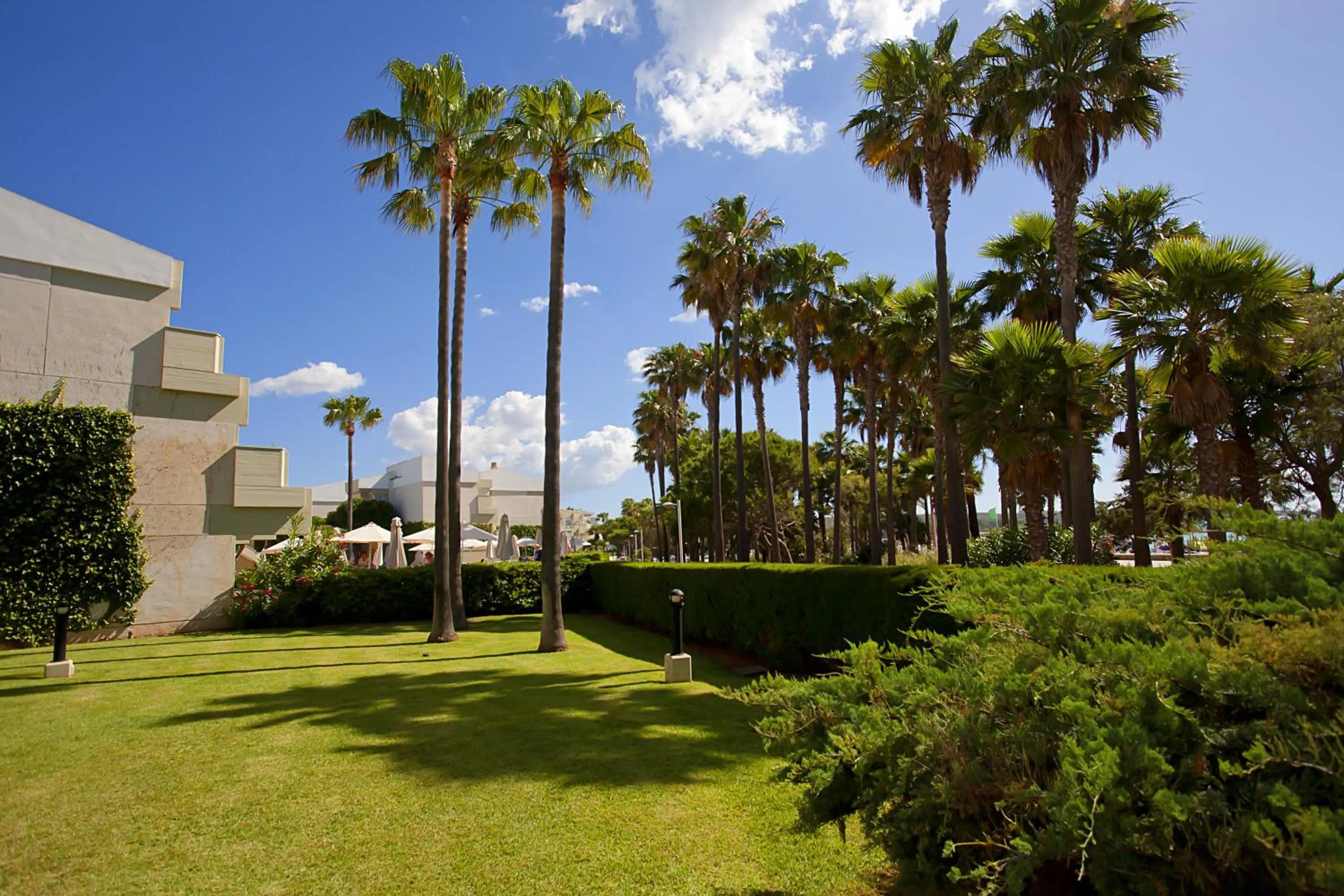 Garden in Hipotels Mediterraneo Club