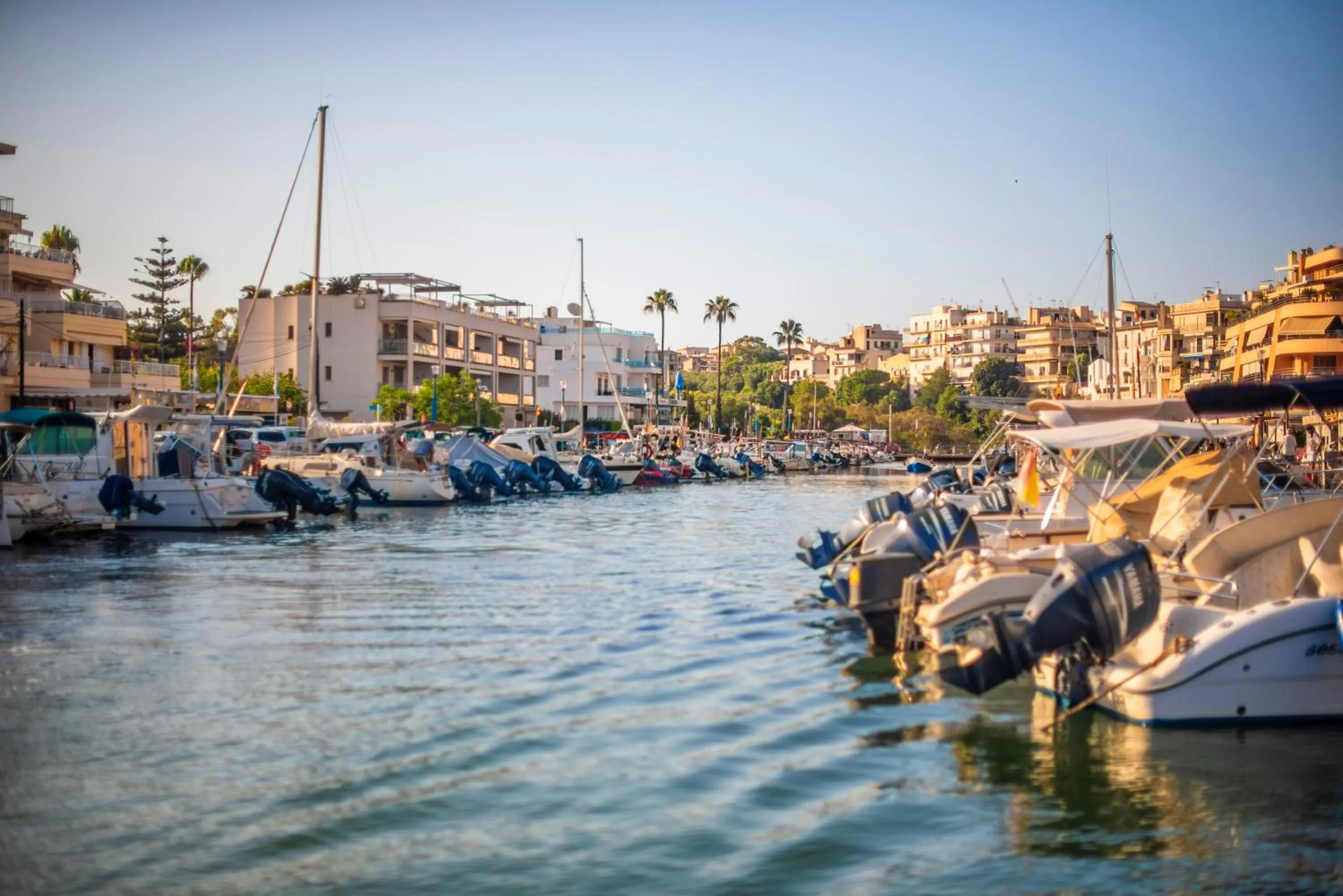 Nearby landmark in Blau Punta Reina