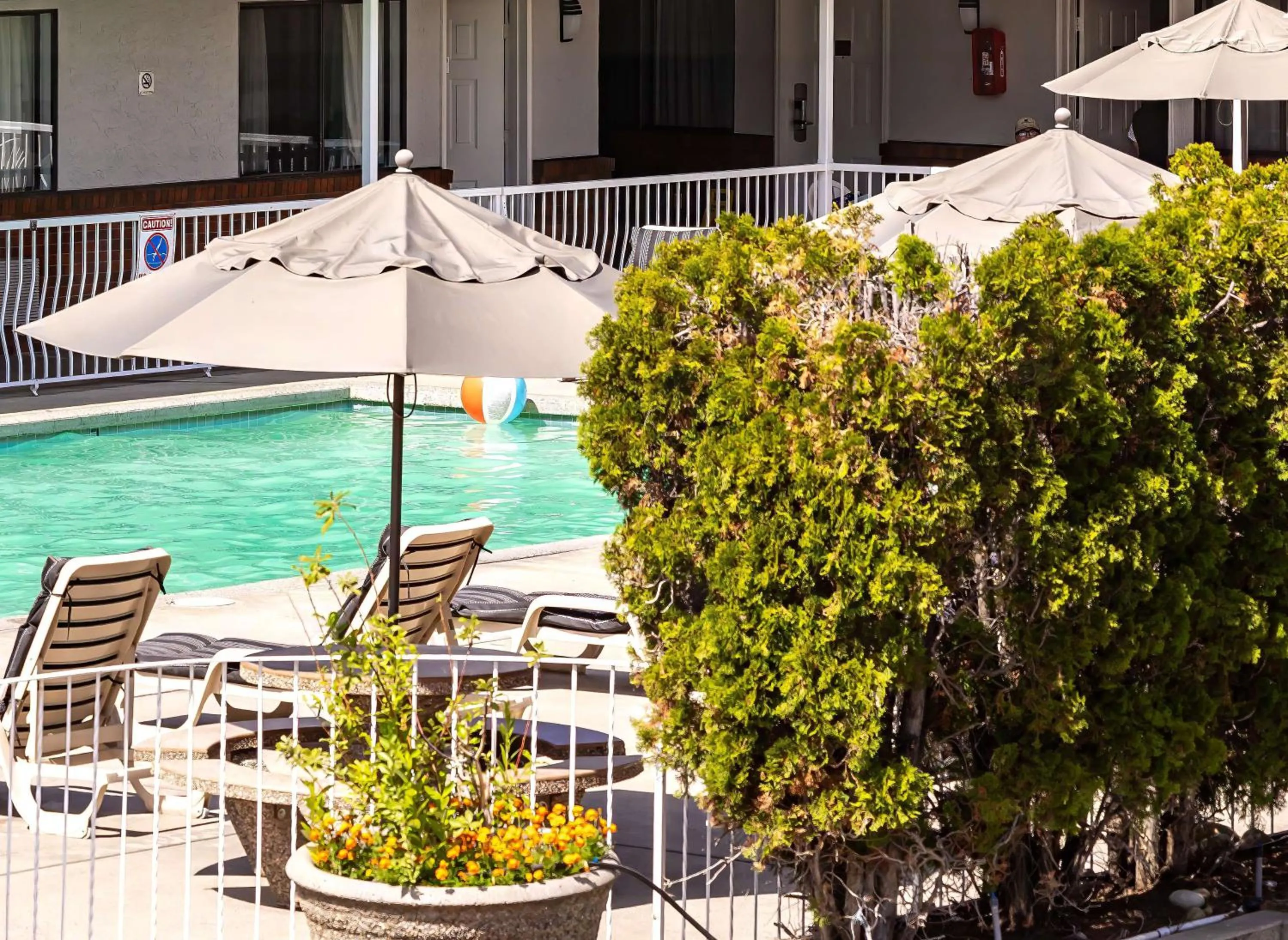 Swimming pool in Siesta Suites