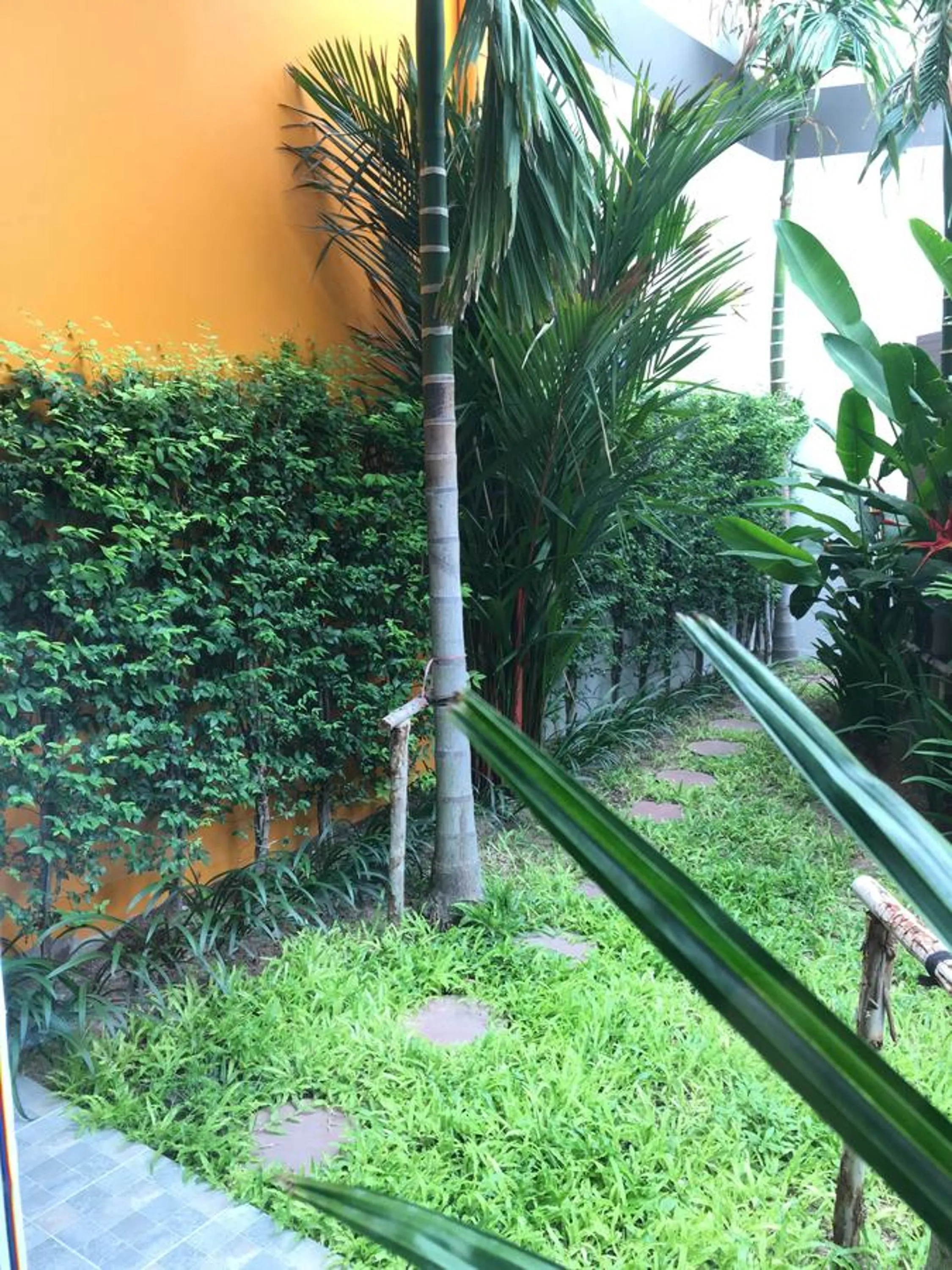 Garden in Tandeaw View