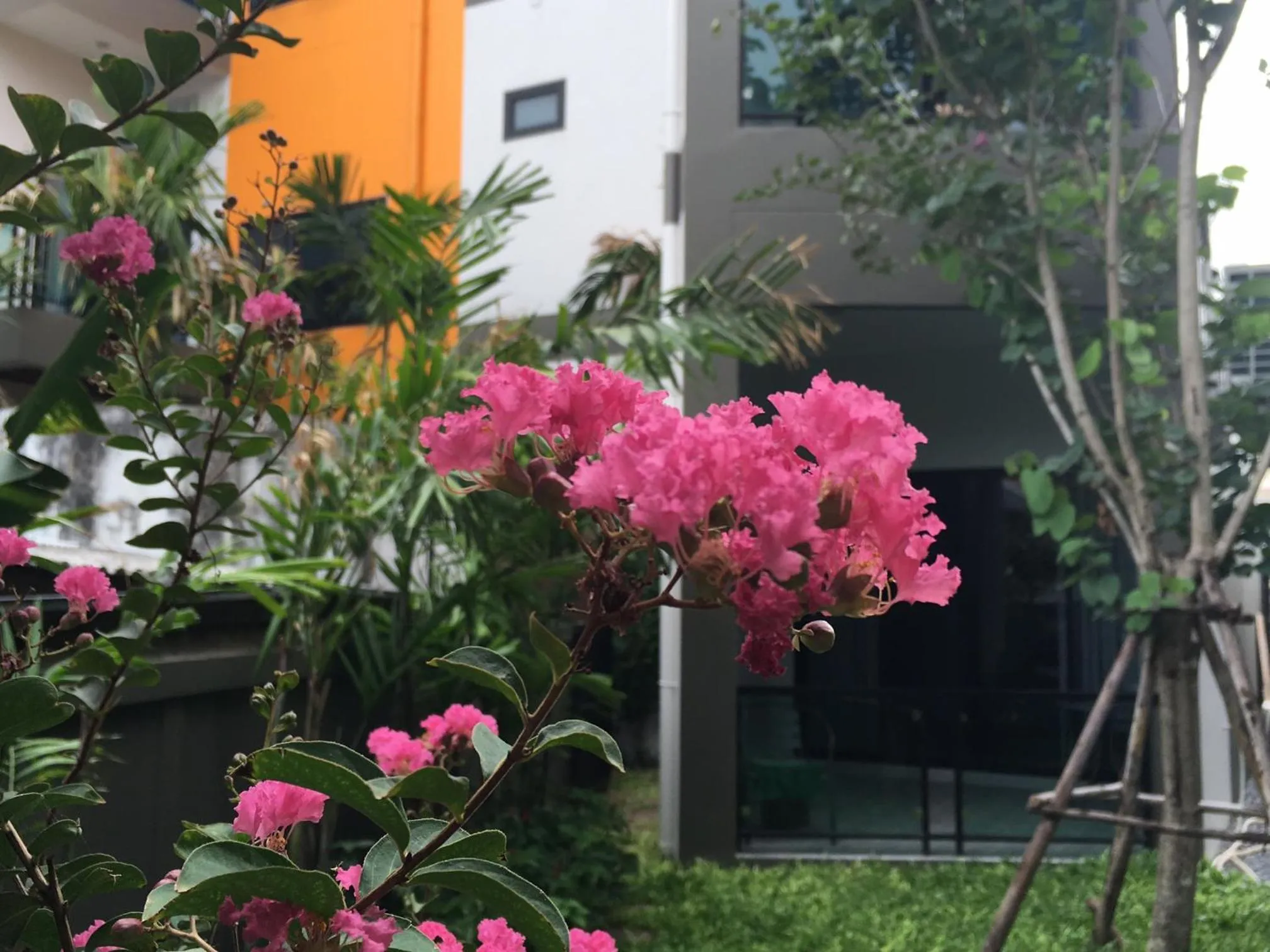 Garden in Tandeaw View